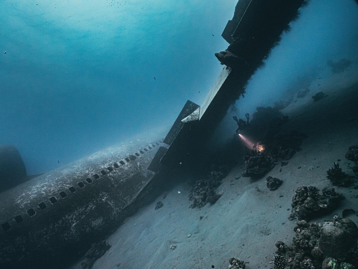 Have you ever dived a commercial plane? 

During my short visit in Jordan during the last underwater photography competition, i got to dive on this fantastic wreck, a lockeed Tristar 🤩

Look at the size of that wing 😱 this wreck is so inviting to m