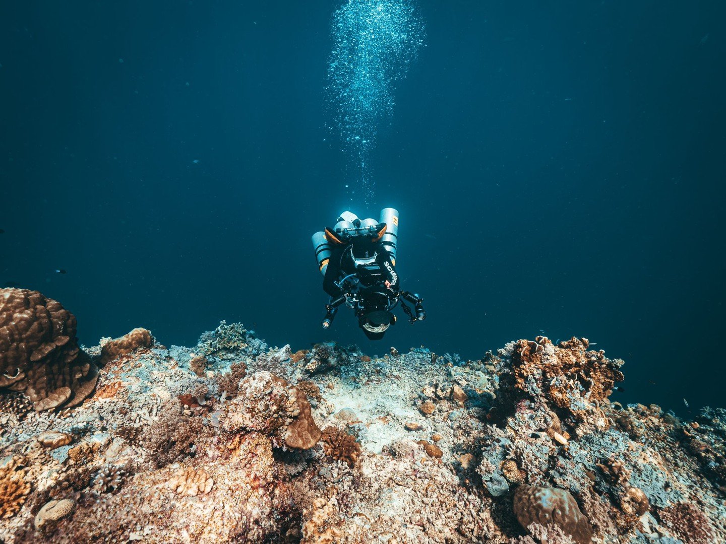 Level Up Your Underwater Photography with These Game-Changing Tools 🐠📸

So, you&rsquo;ve stocked your shelf with the best books (you did bookmark that last post, right?).
Now it&rsquo;s time to go beyond the page&mdash;and start creating like a pro