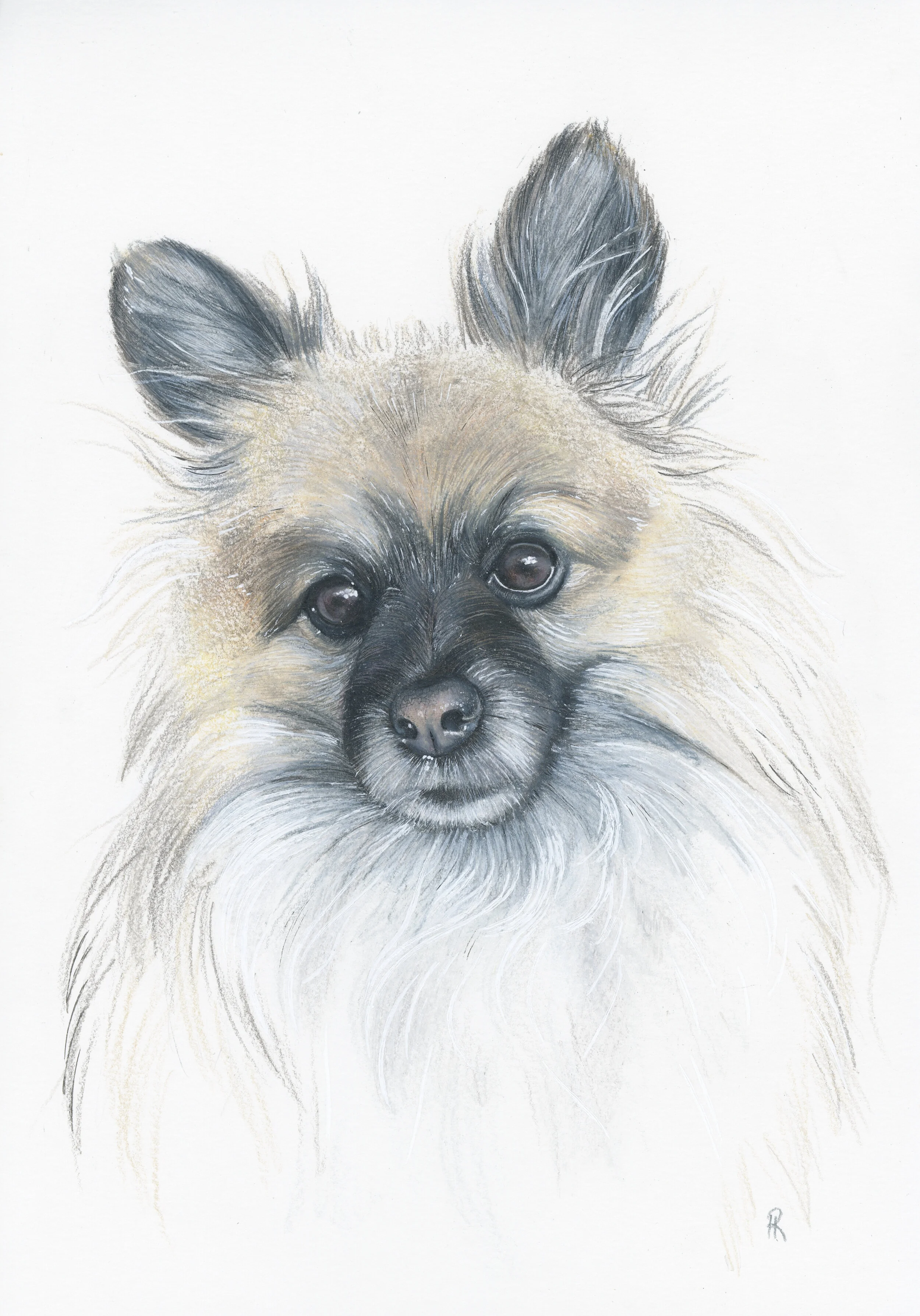 Betty (2020). Coloured pencil on paper. 29.7 x 21 cm.