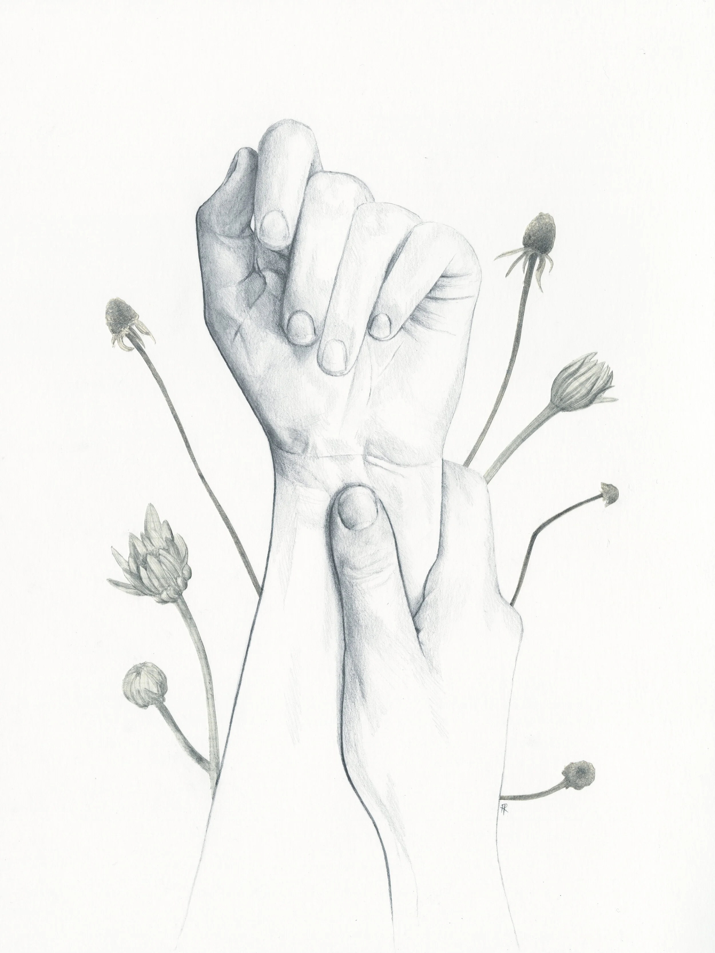 metamorphosis 6.jpg