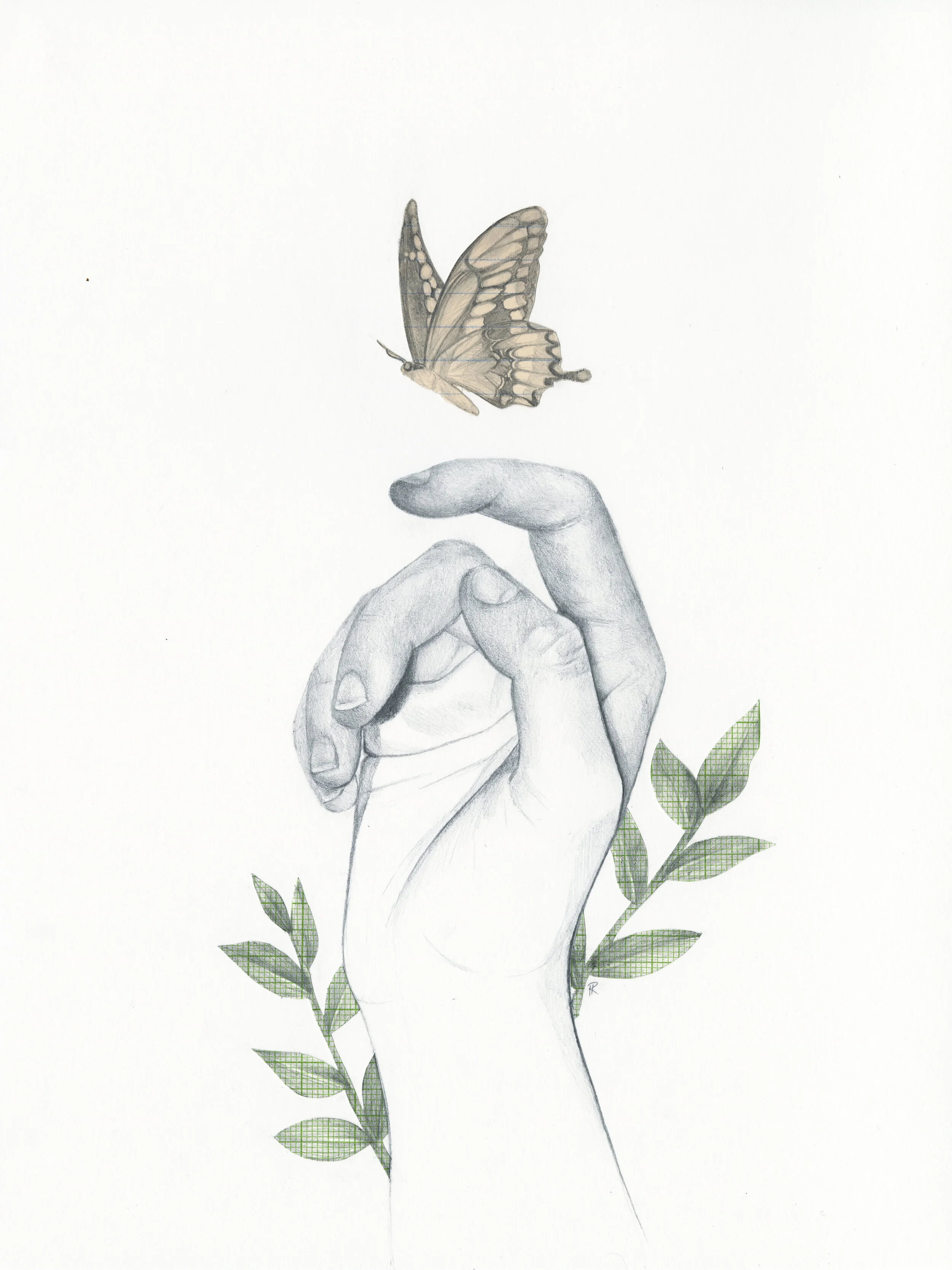 metamorphosis 8.jpg