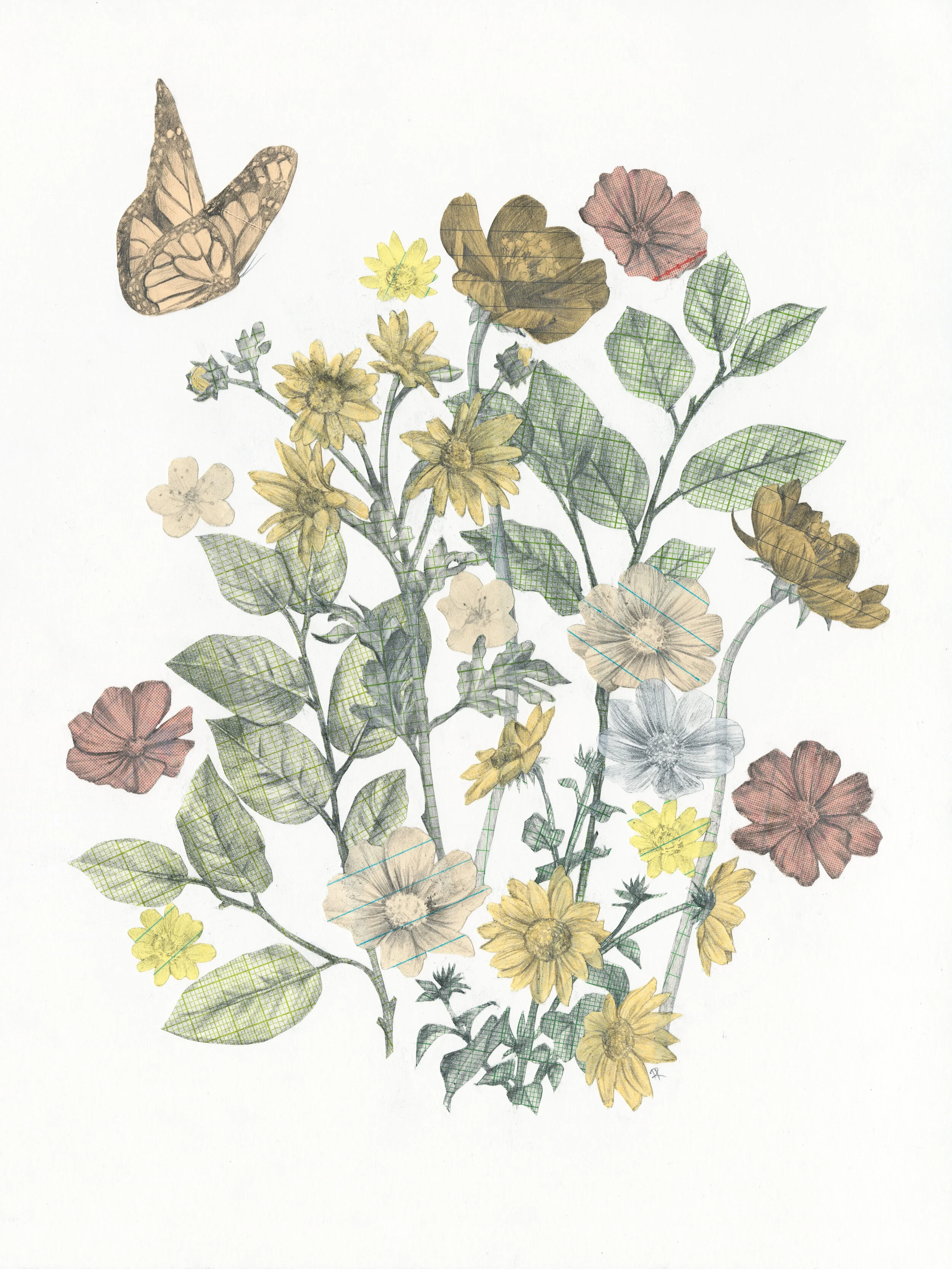 metamorphosis 16.jpg