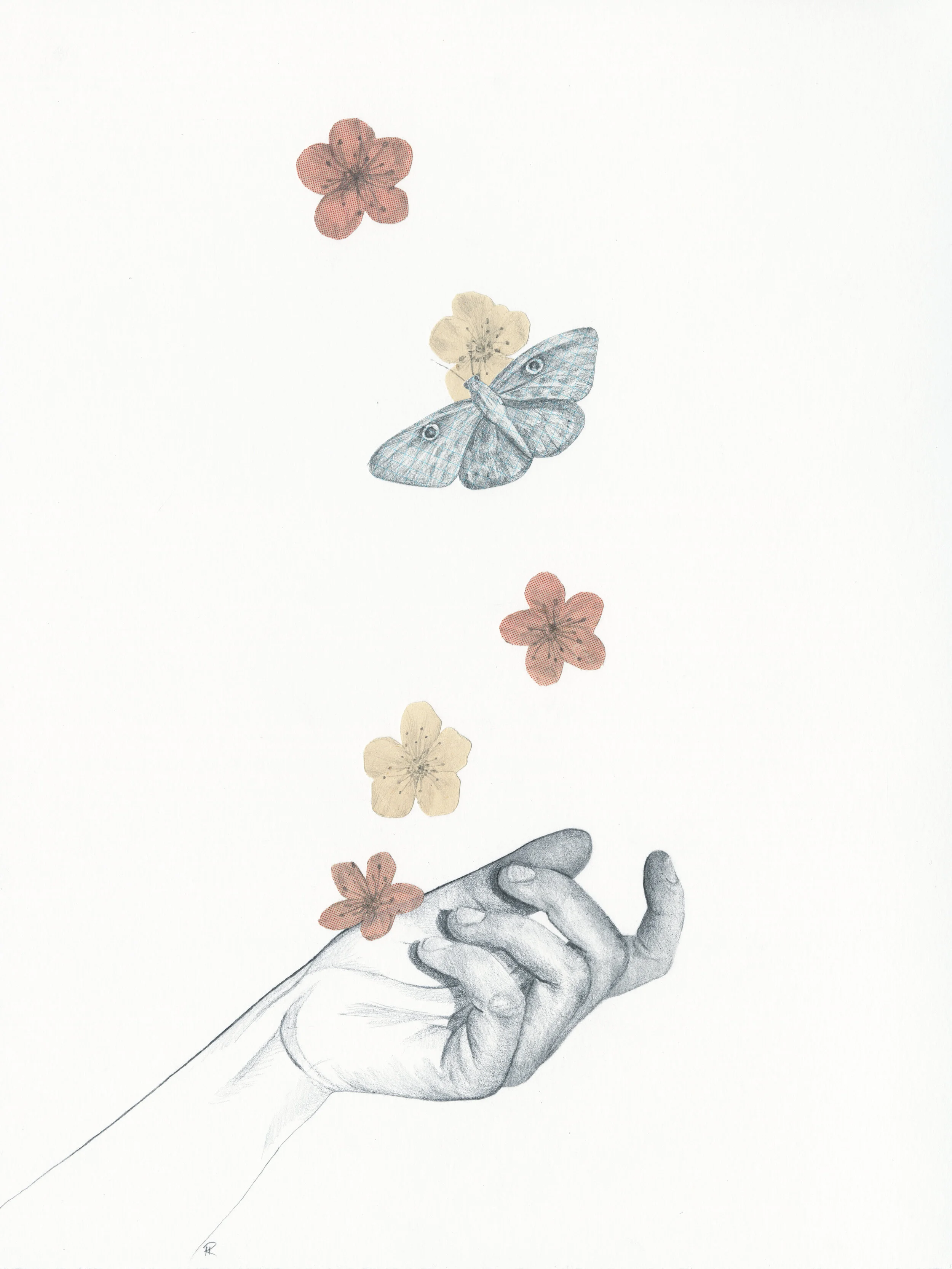 metamorphosis 12.jpg