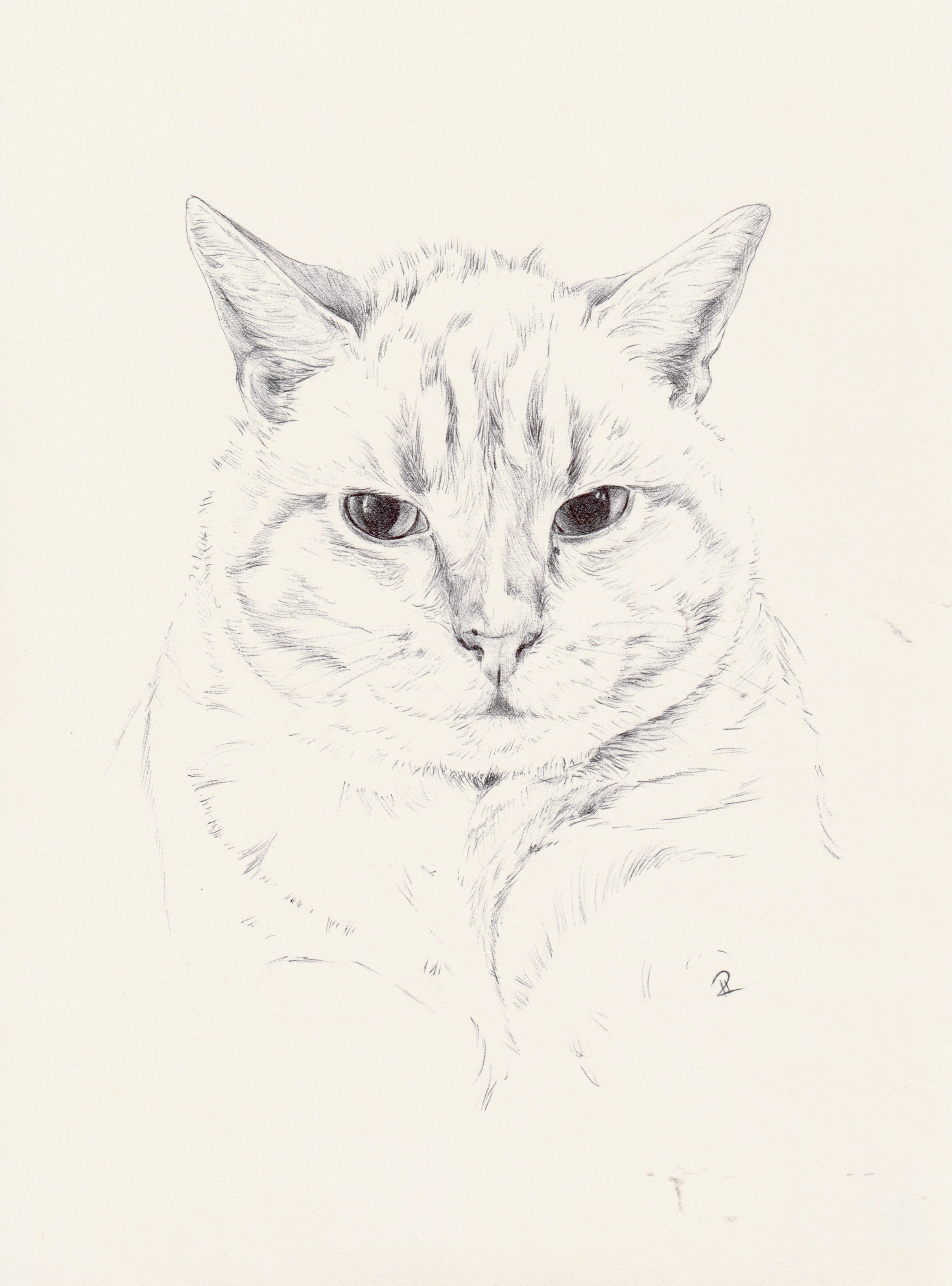 Lys (2025). Ballpoint pen on paper. 21 x 14.8 cm.