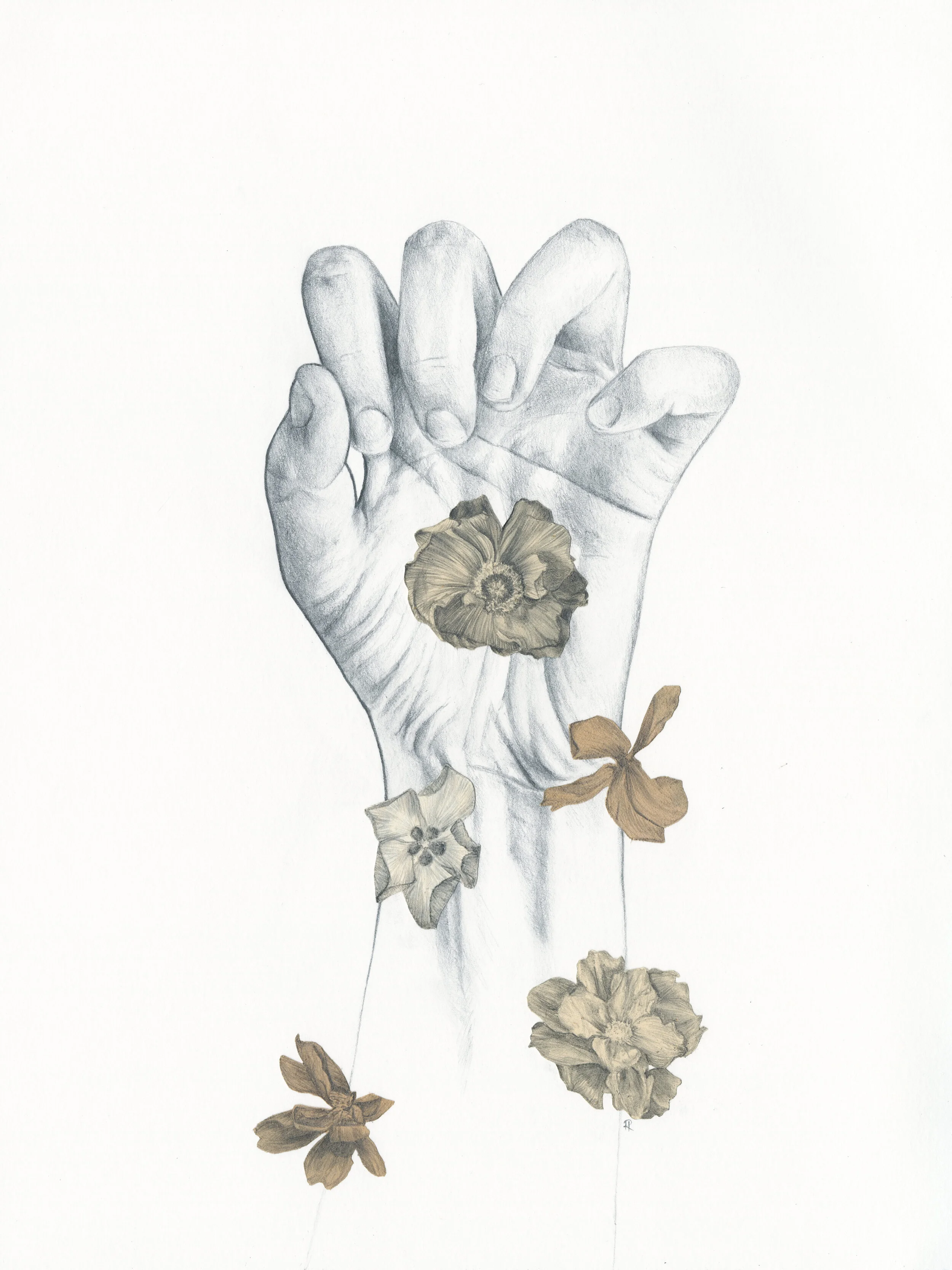 metamorphosis 4.jpg