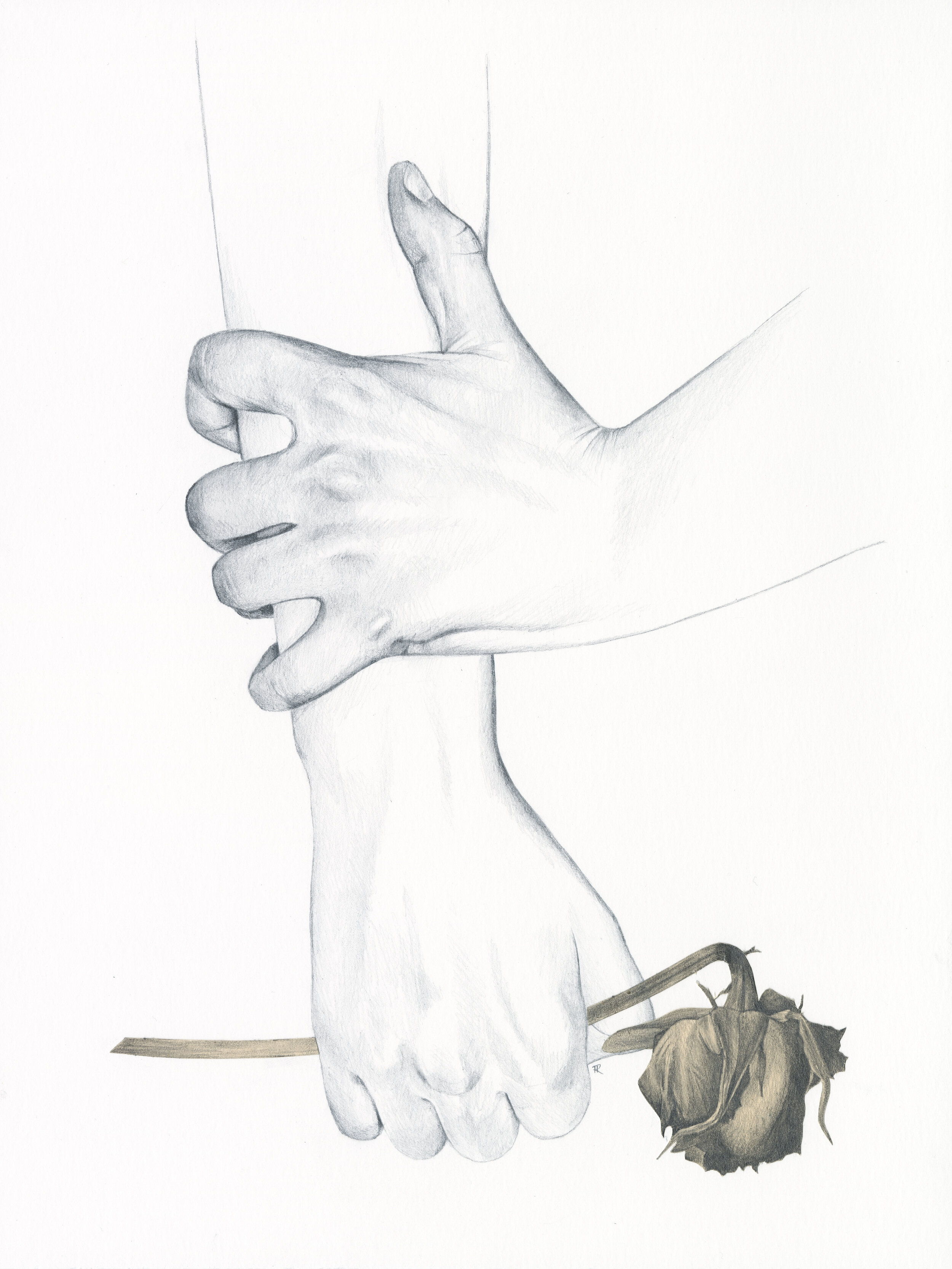 metamorphosis 2.jpg