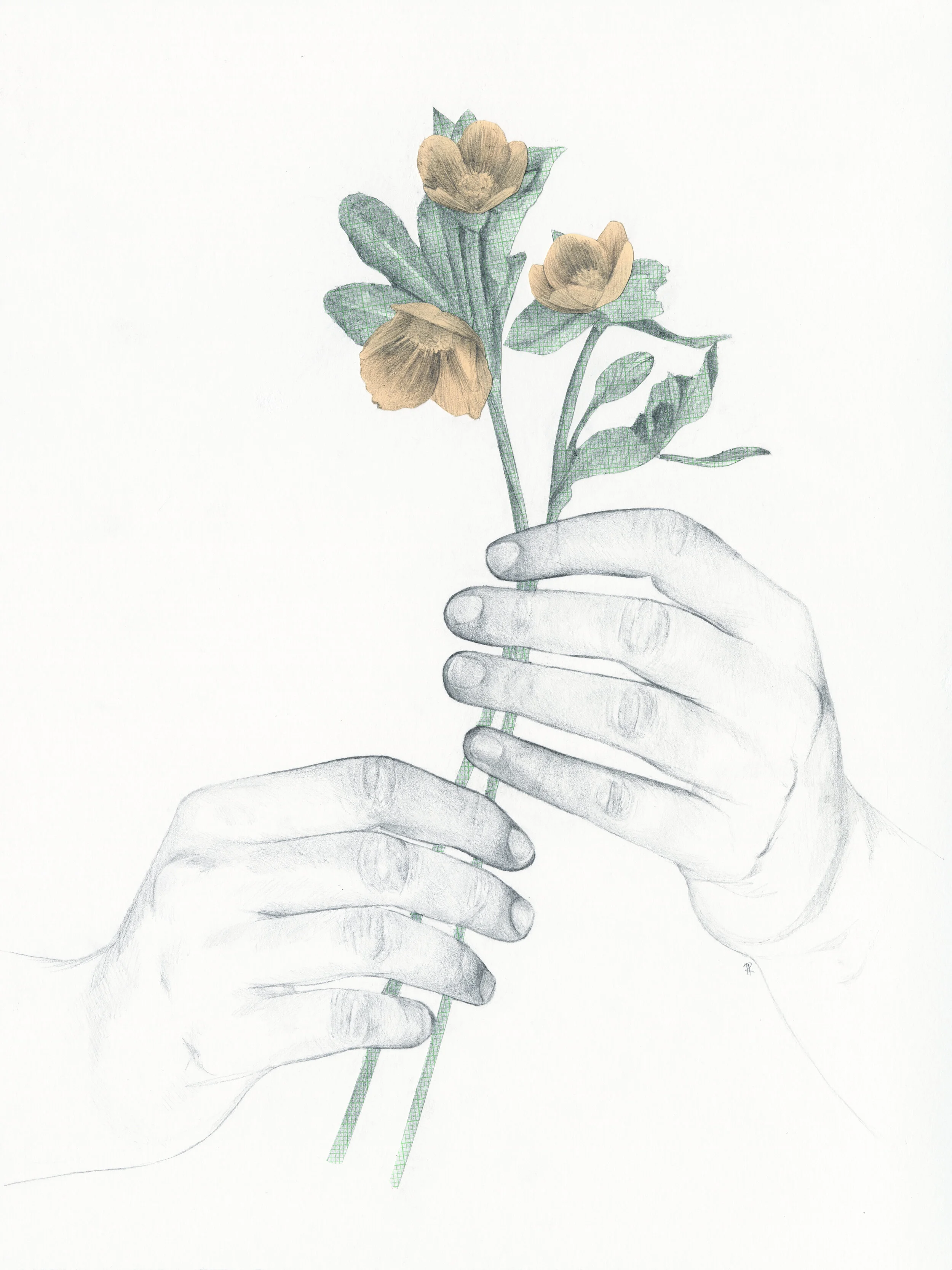 metamorphosis 10.jpg
