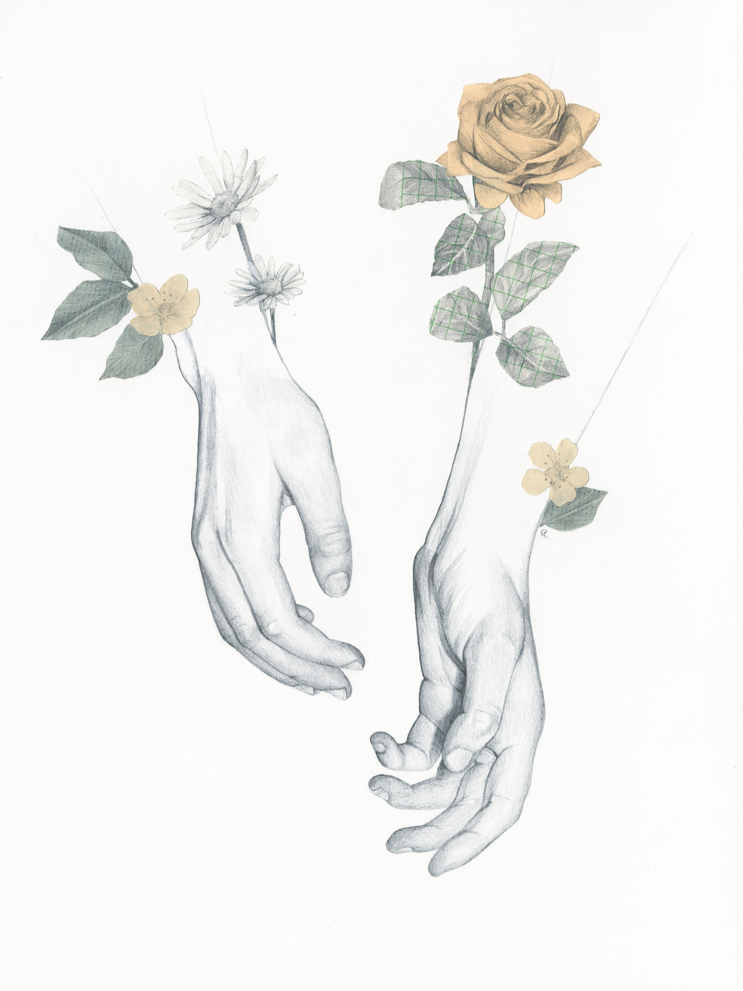 metamorphosis 14.jpg