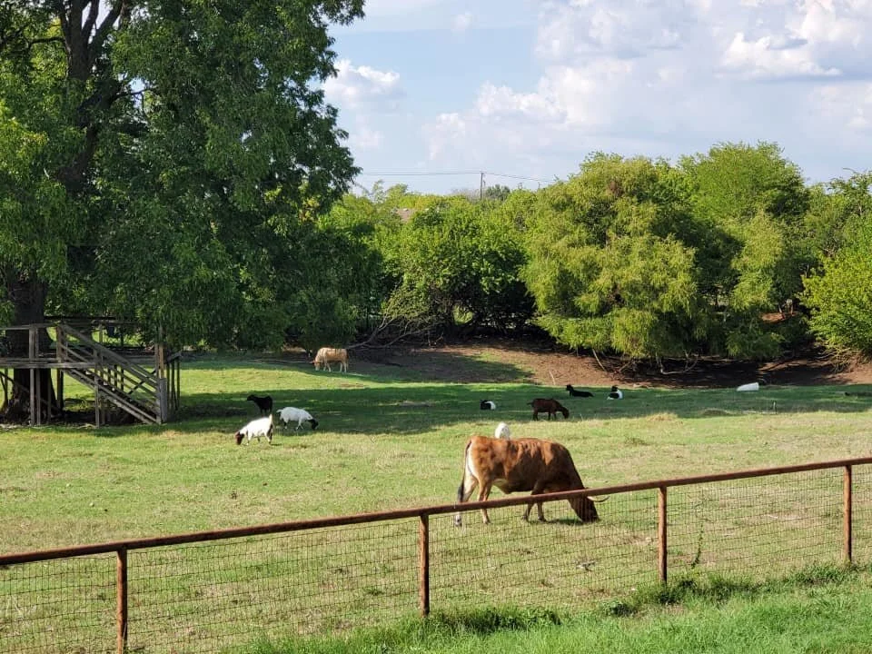 Idyllic day. Happy long weekend friends and family!