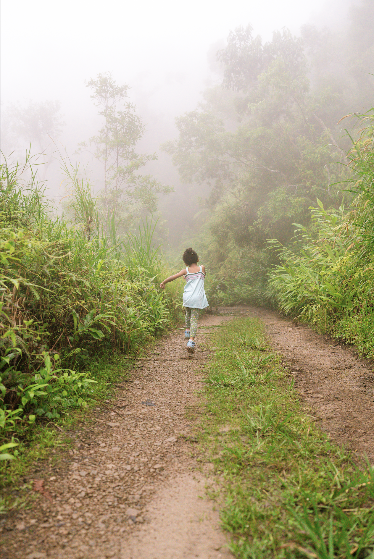 Christian Sanctification: “Stop It” by the Power of the Holy Spirit