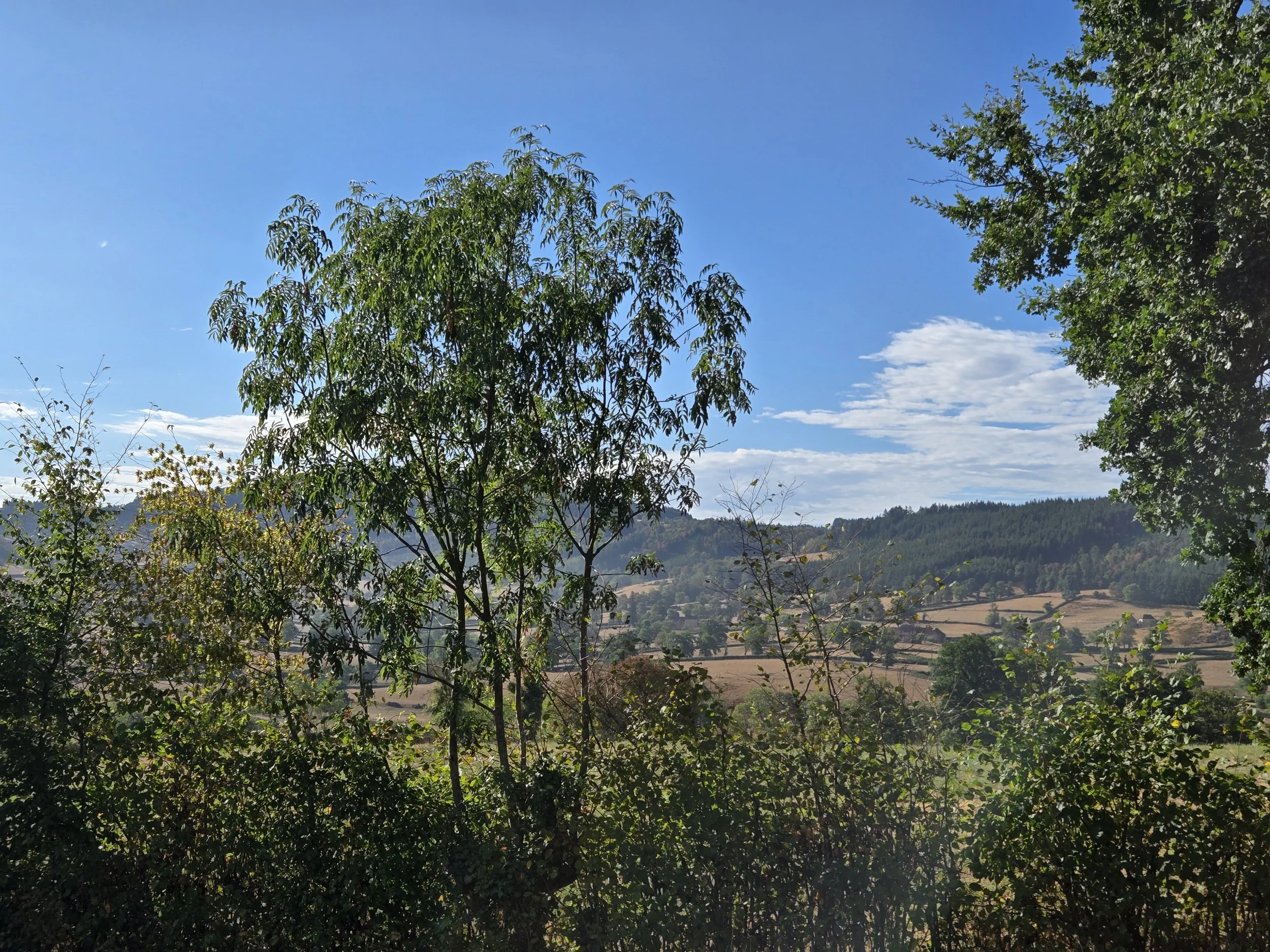 20260825_094334.jpg