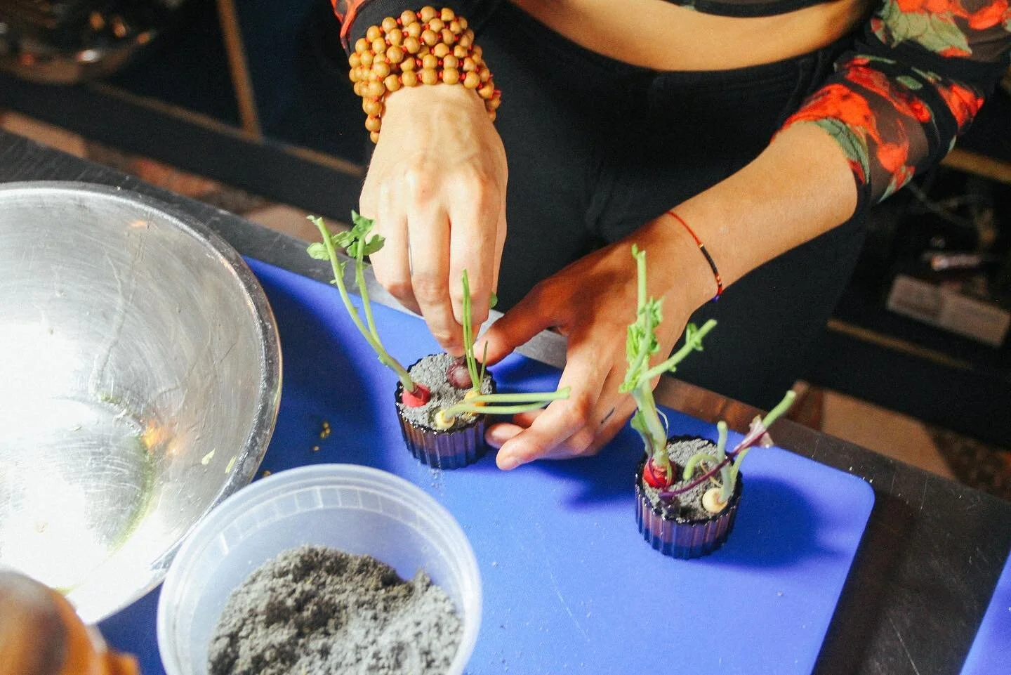 RABBIT | Raw Vegan Tasting Menu — Overthrow Hospitality ...