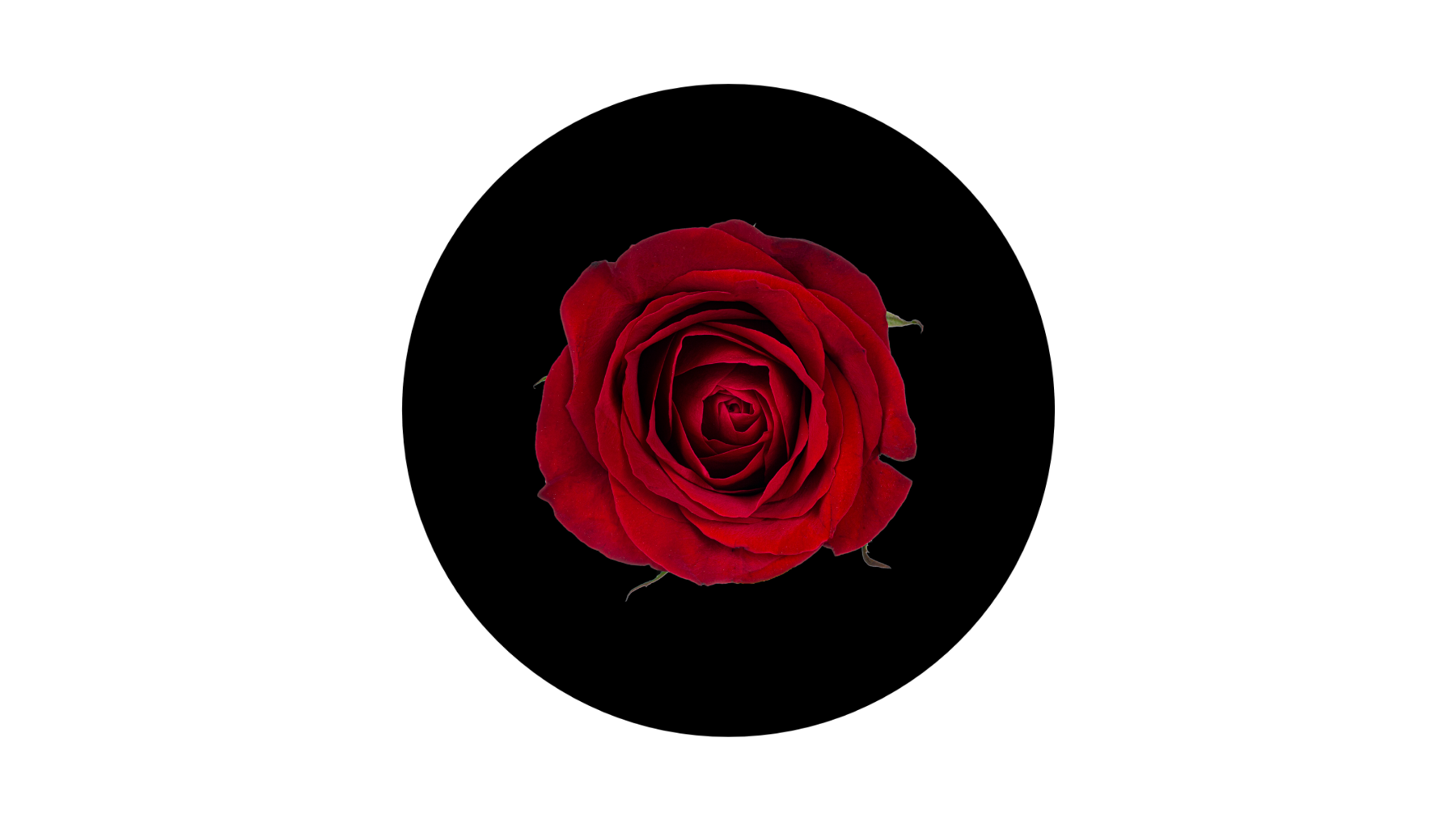 Capricorn New Moon: January 2, 2022