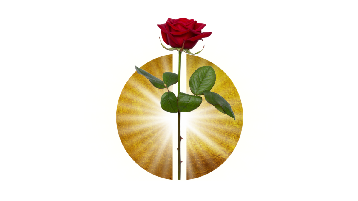 Leo Full Moon: February 16, 2022
