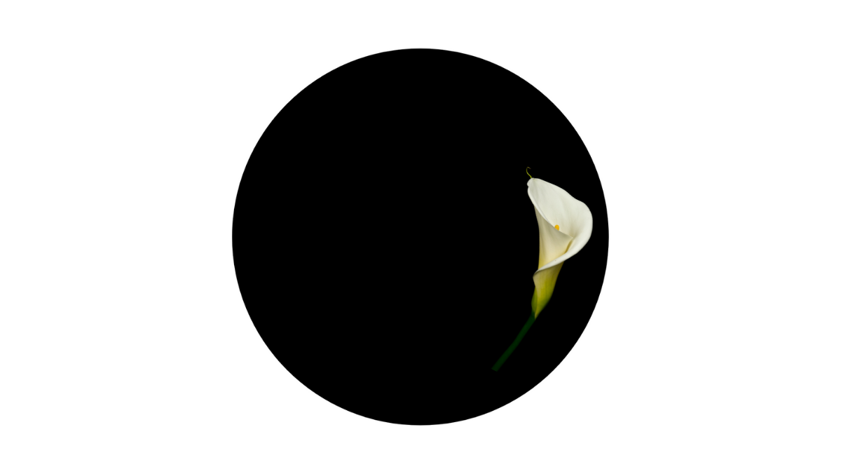 Aries New Moon: April 1, 2022