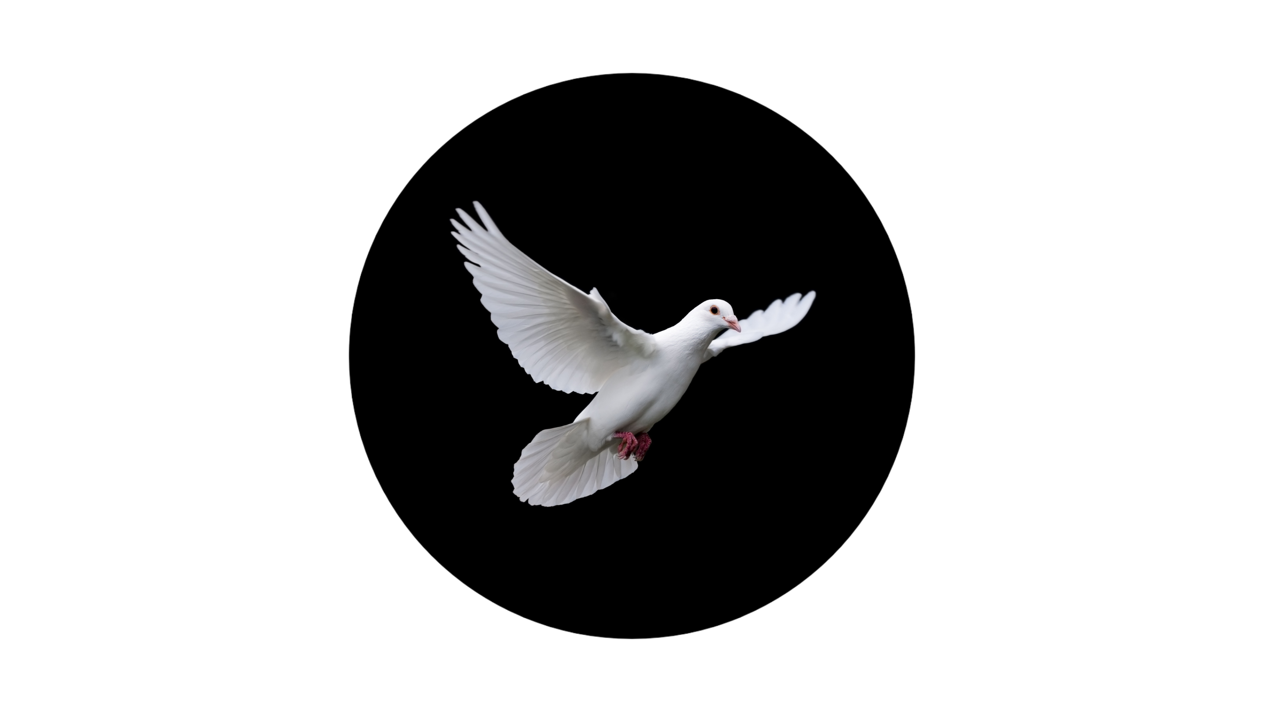 Virgo New Moon: August 27, 2022