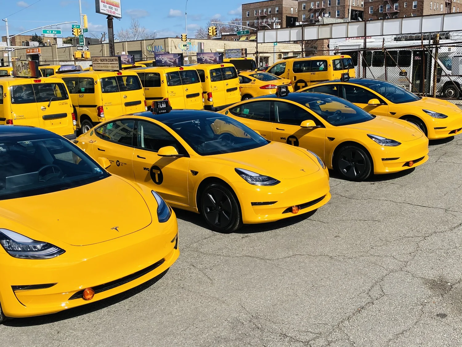 United Taxi & Fleet Management