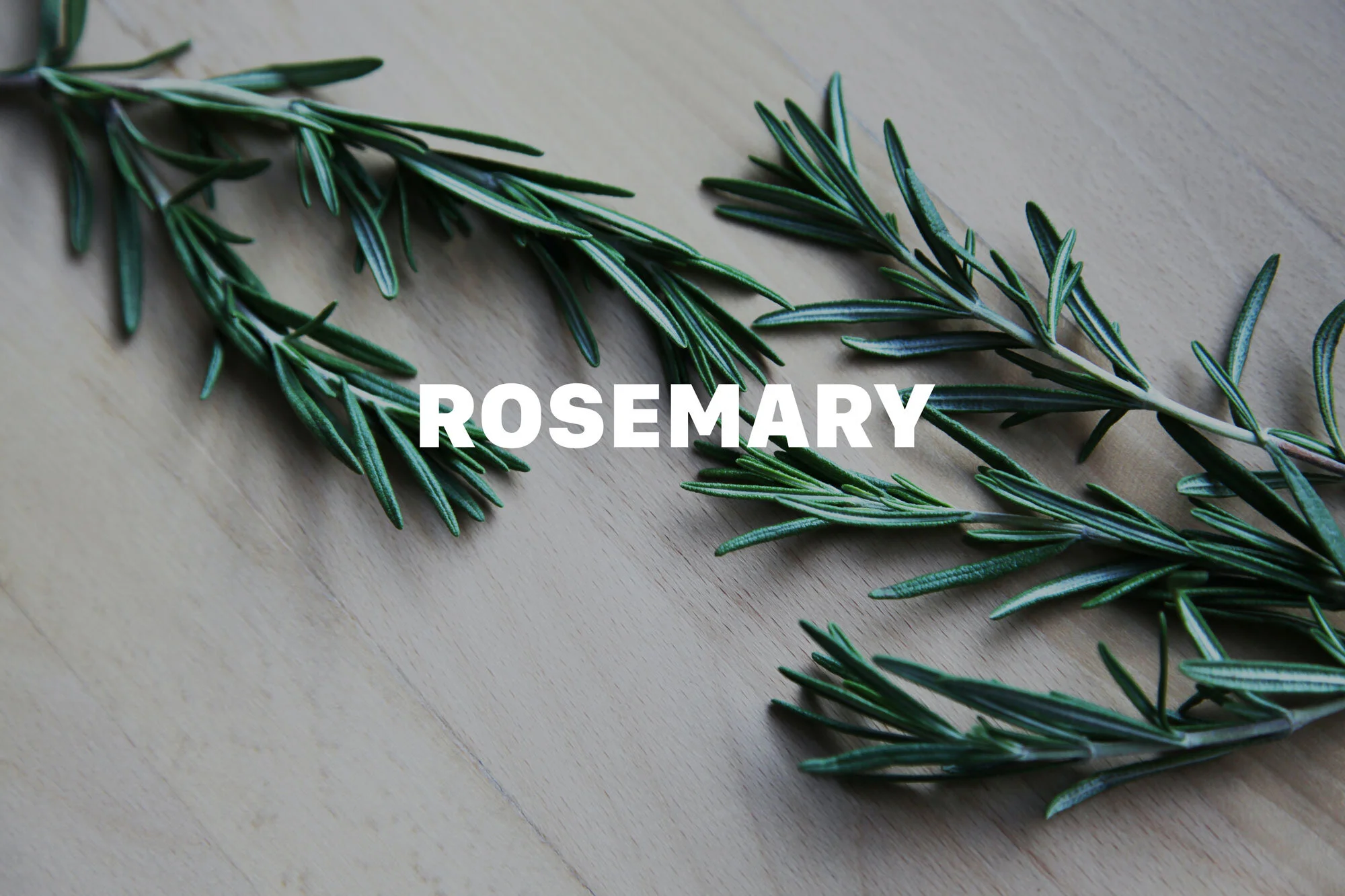 Rōzumarī • ローズマリー • Rosemary