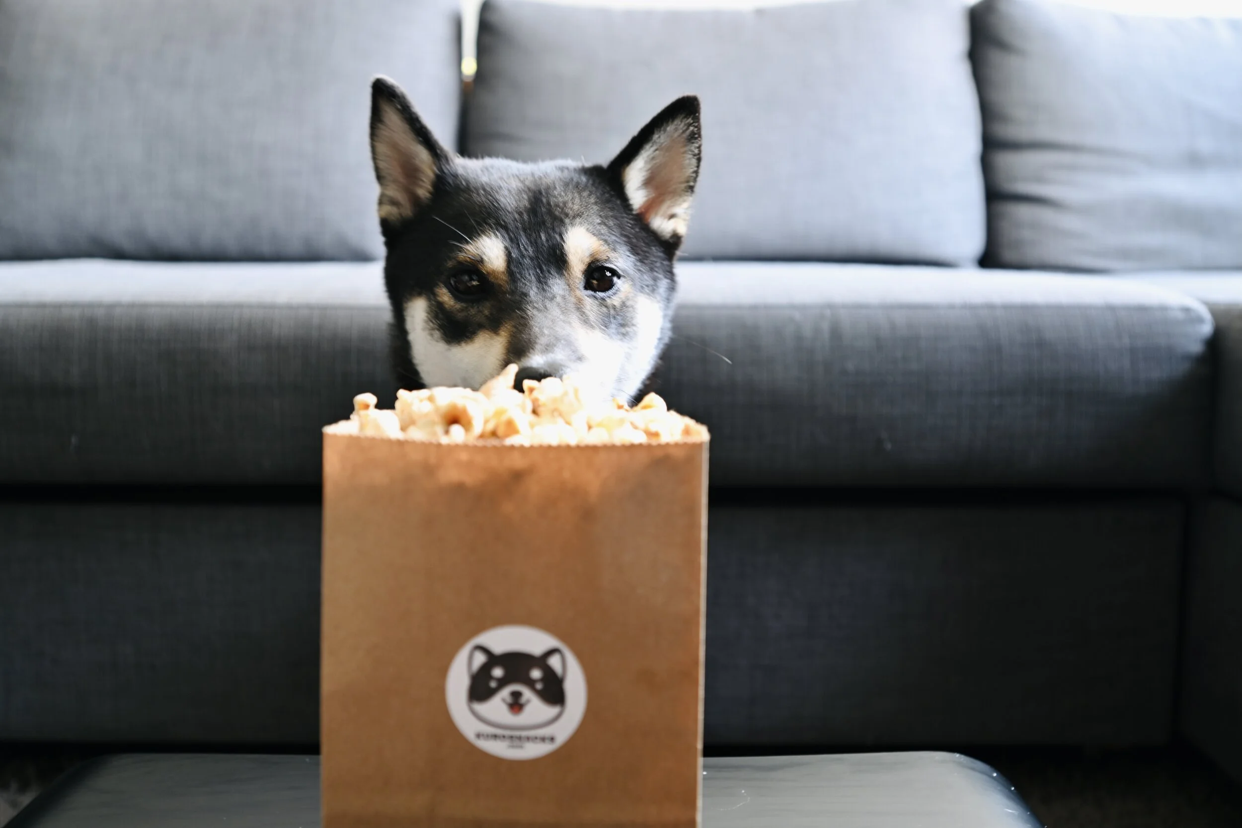Netflix &amp; Dog