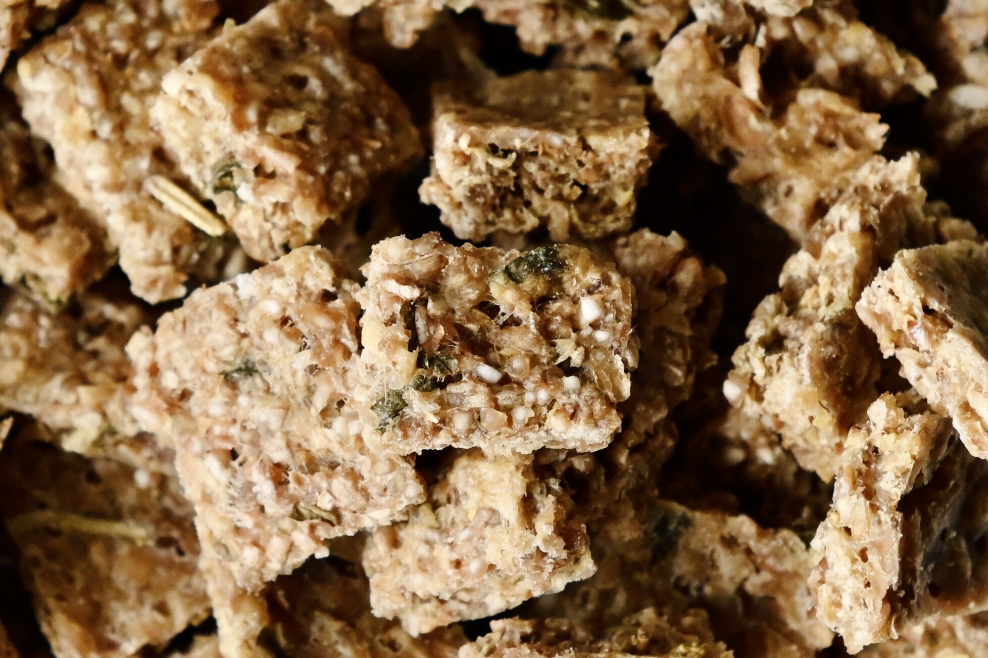 Up Close with Ramu by Kuro Snacks.jpg