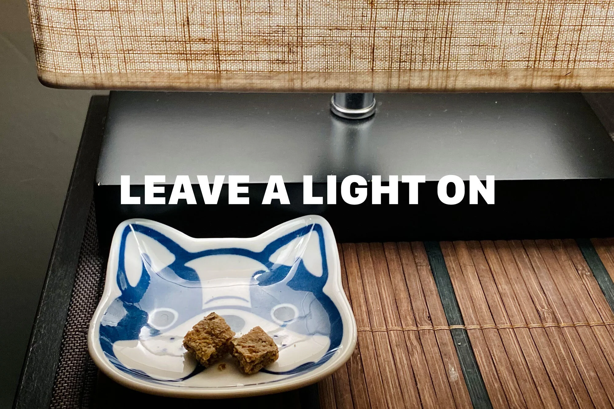 Leave A Light On For Dog