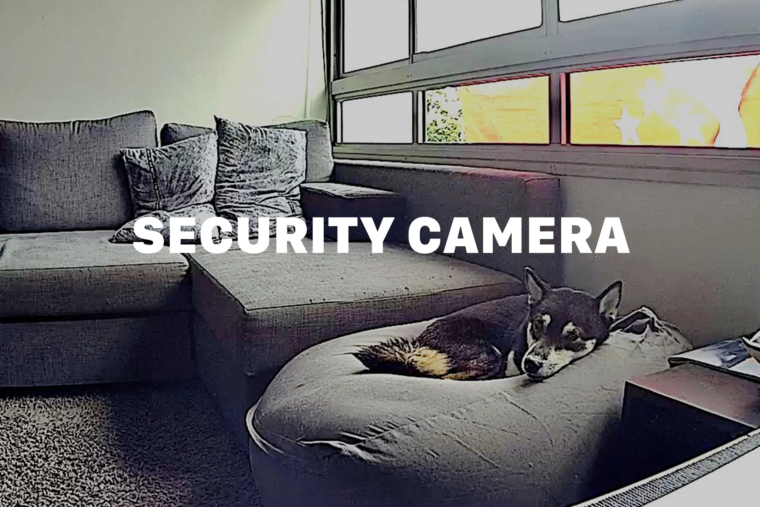 Security Camera