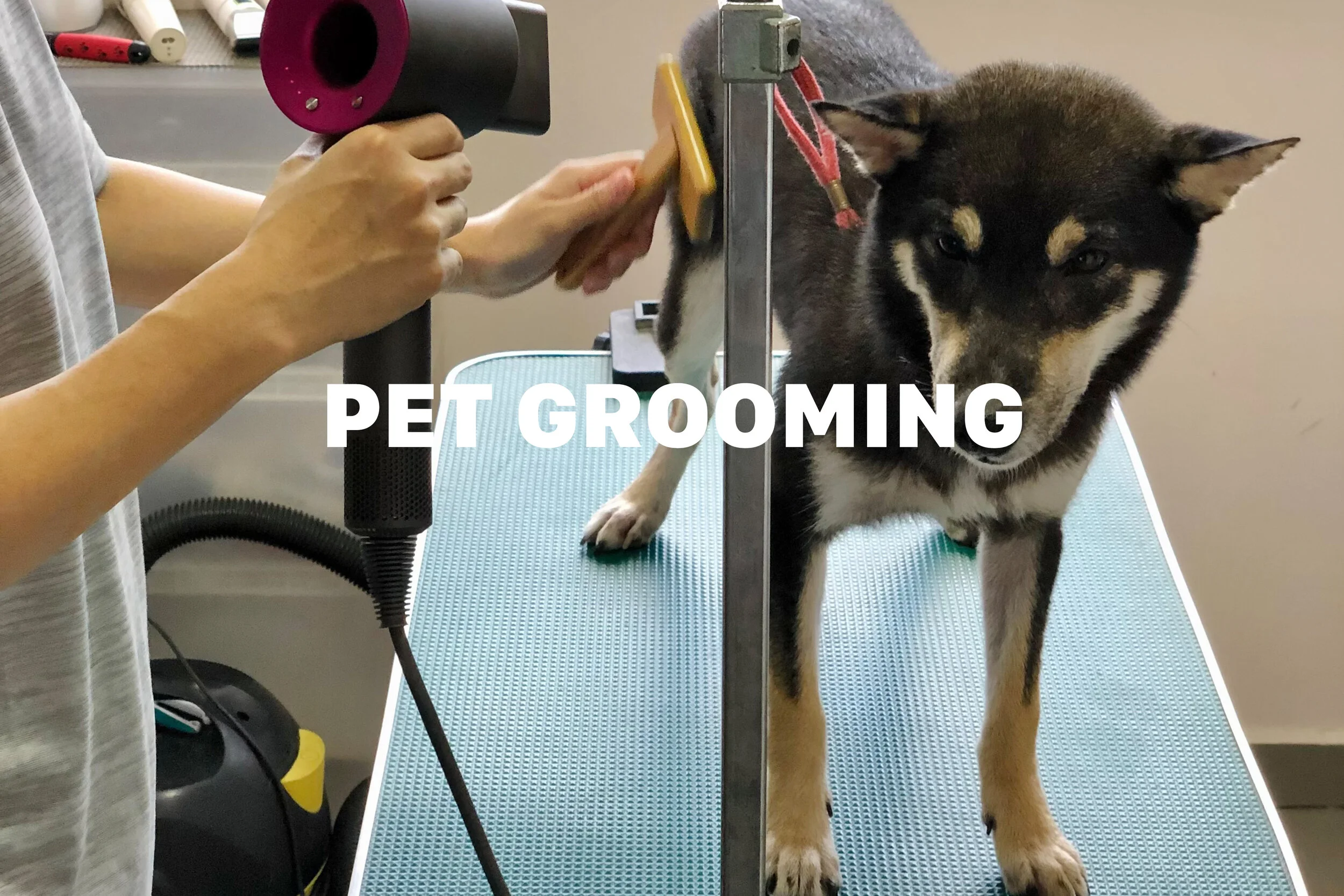 Pet Grooming