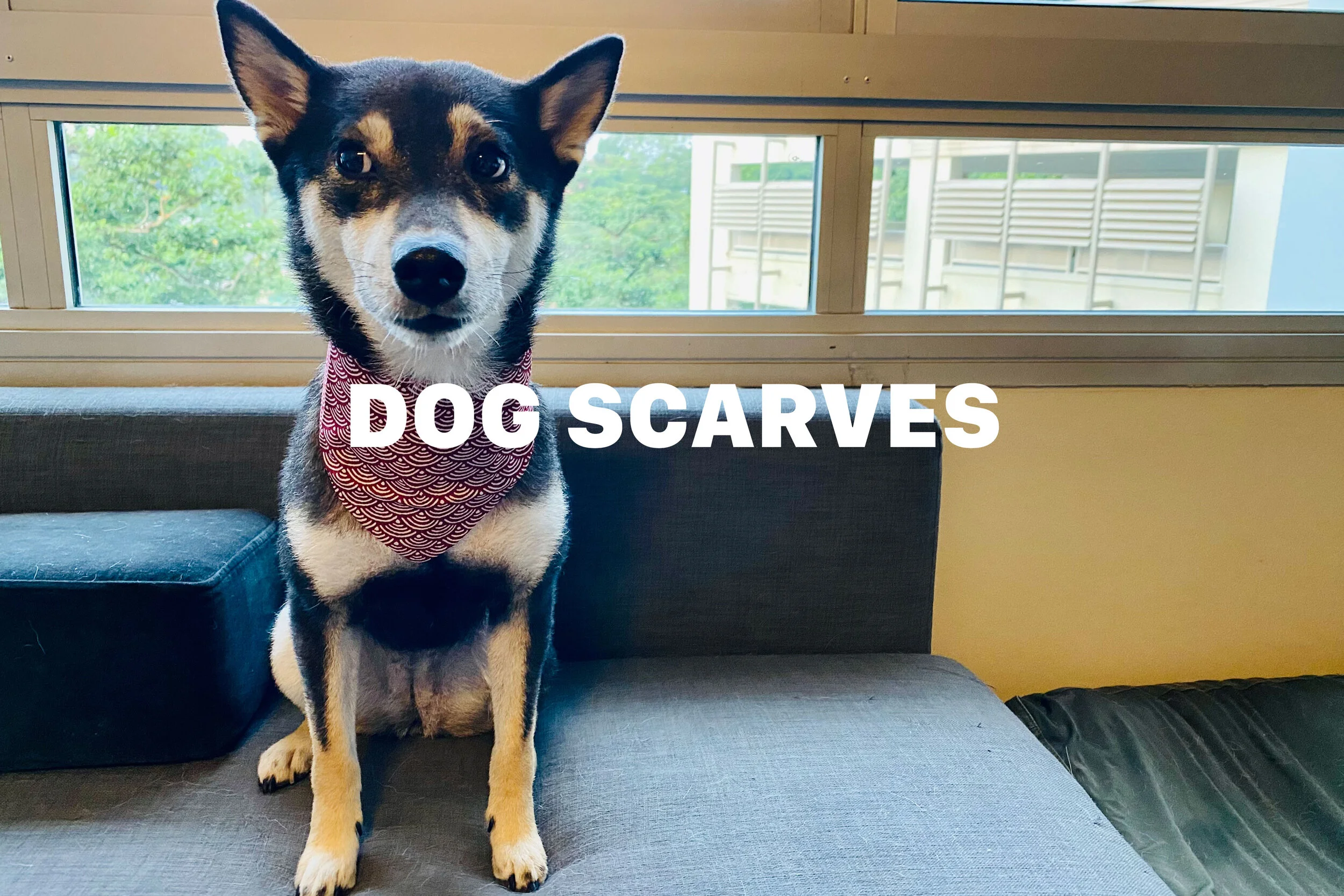 Dog Scarves