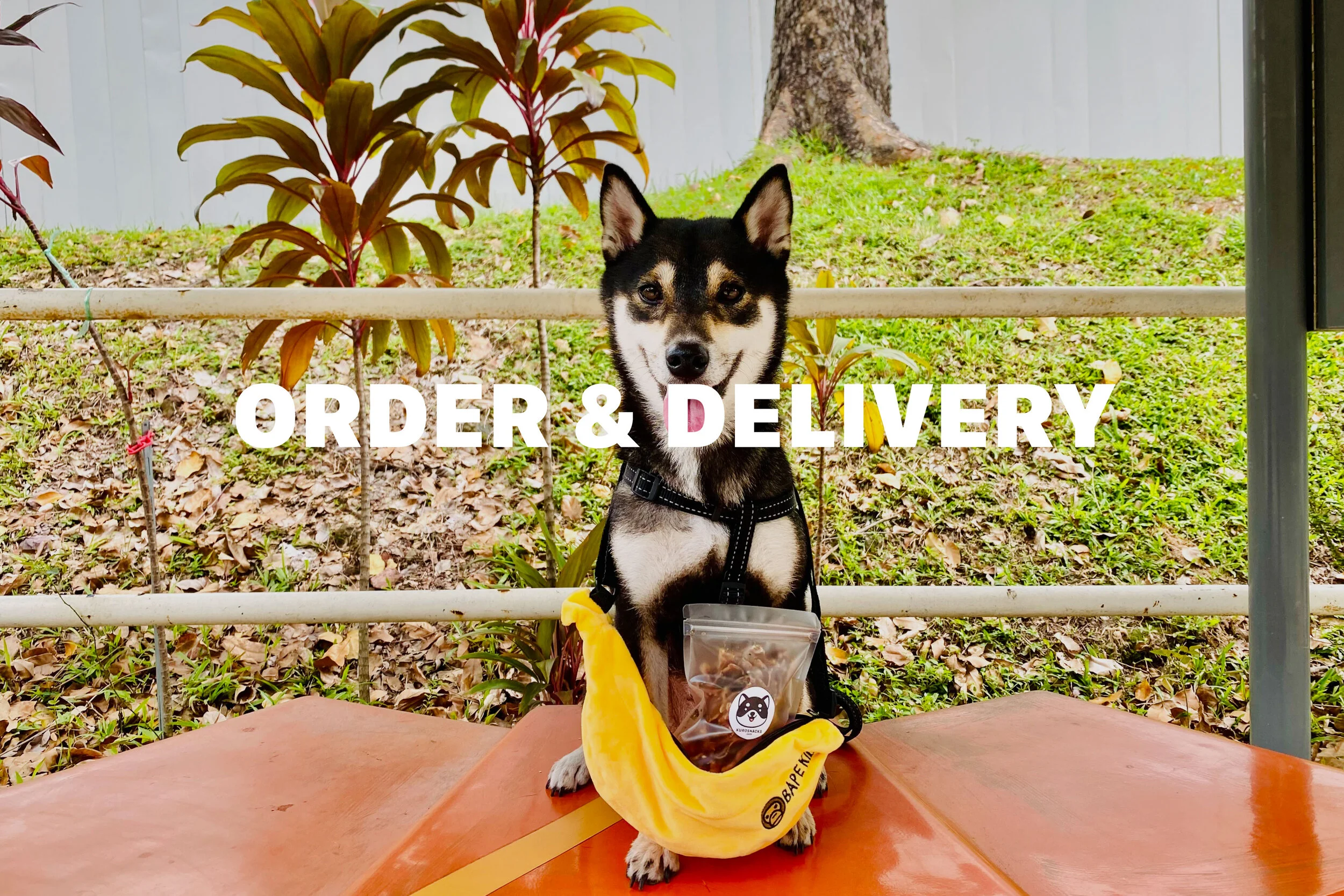 Order &amp; Delivery