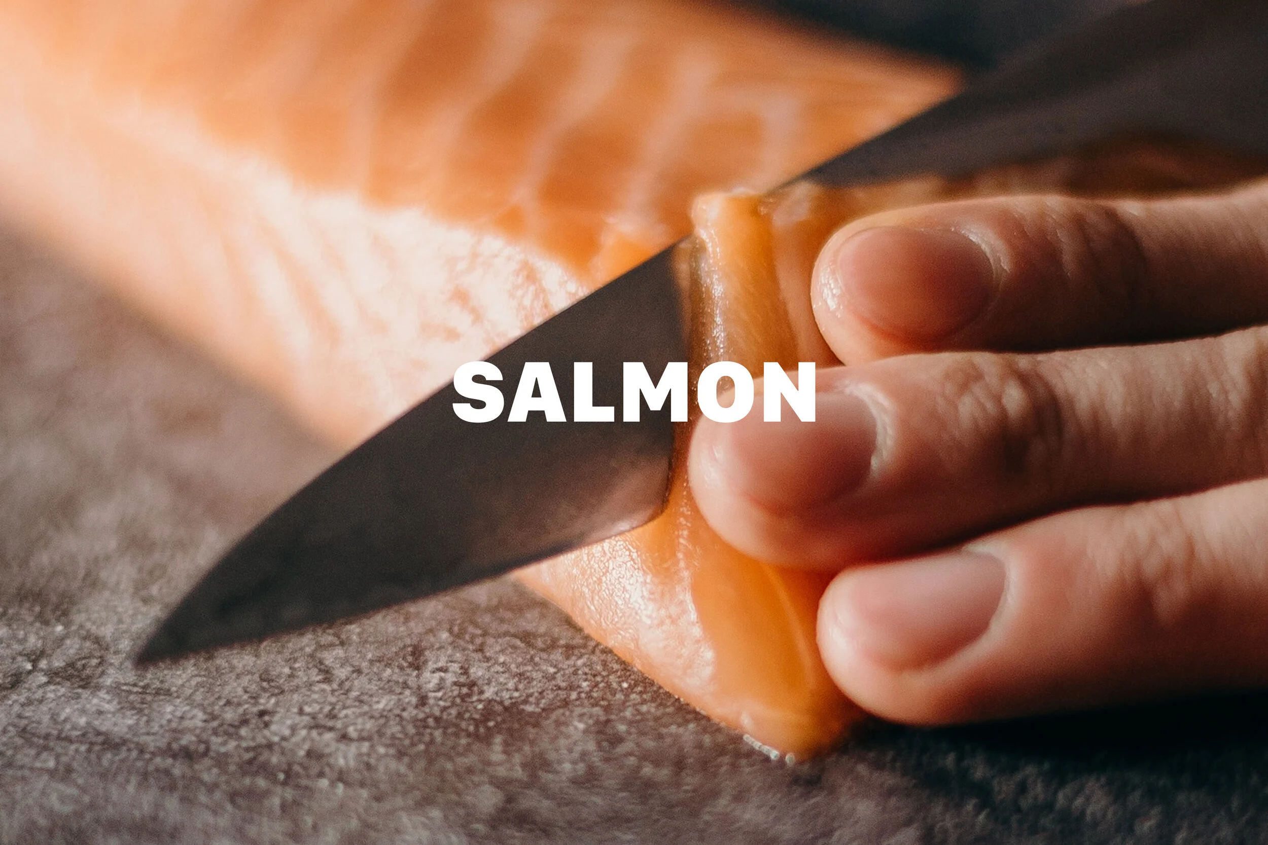 Salmon