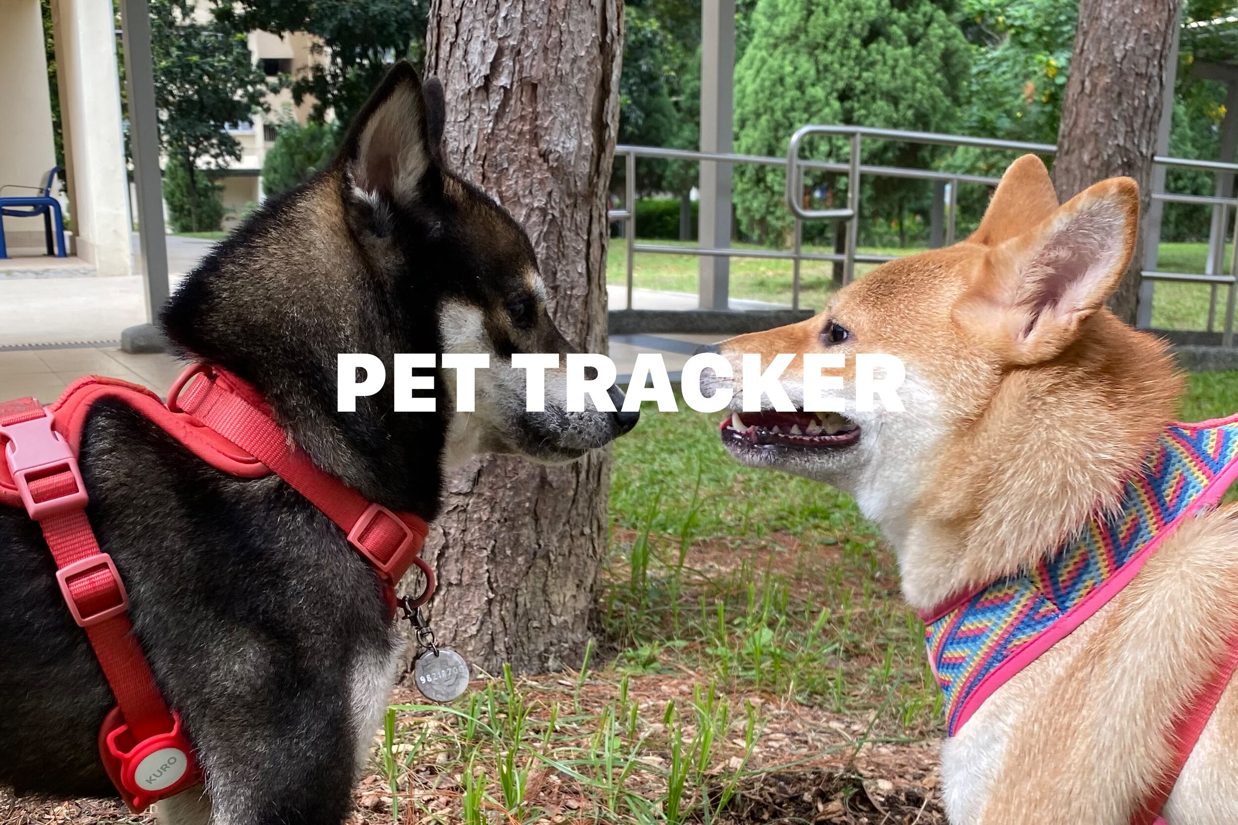 Pet Trackers (Alternative to Apple AirTag) — Kuro Snacks