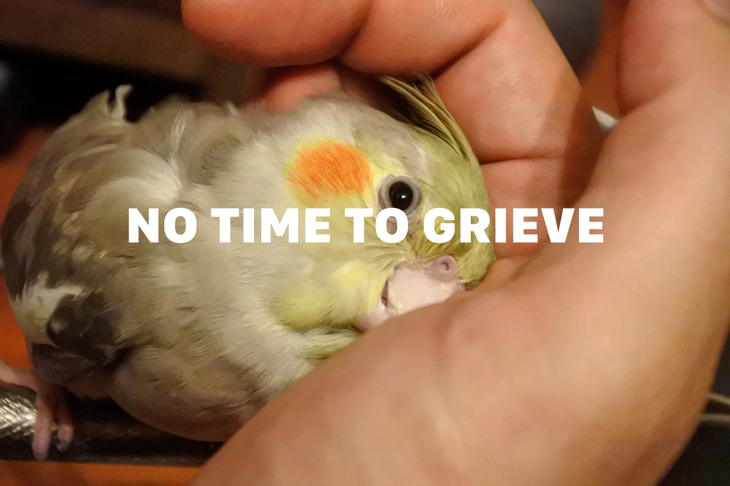 The Grief No One Gives You Time For