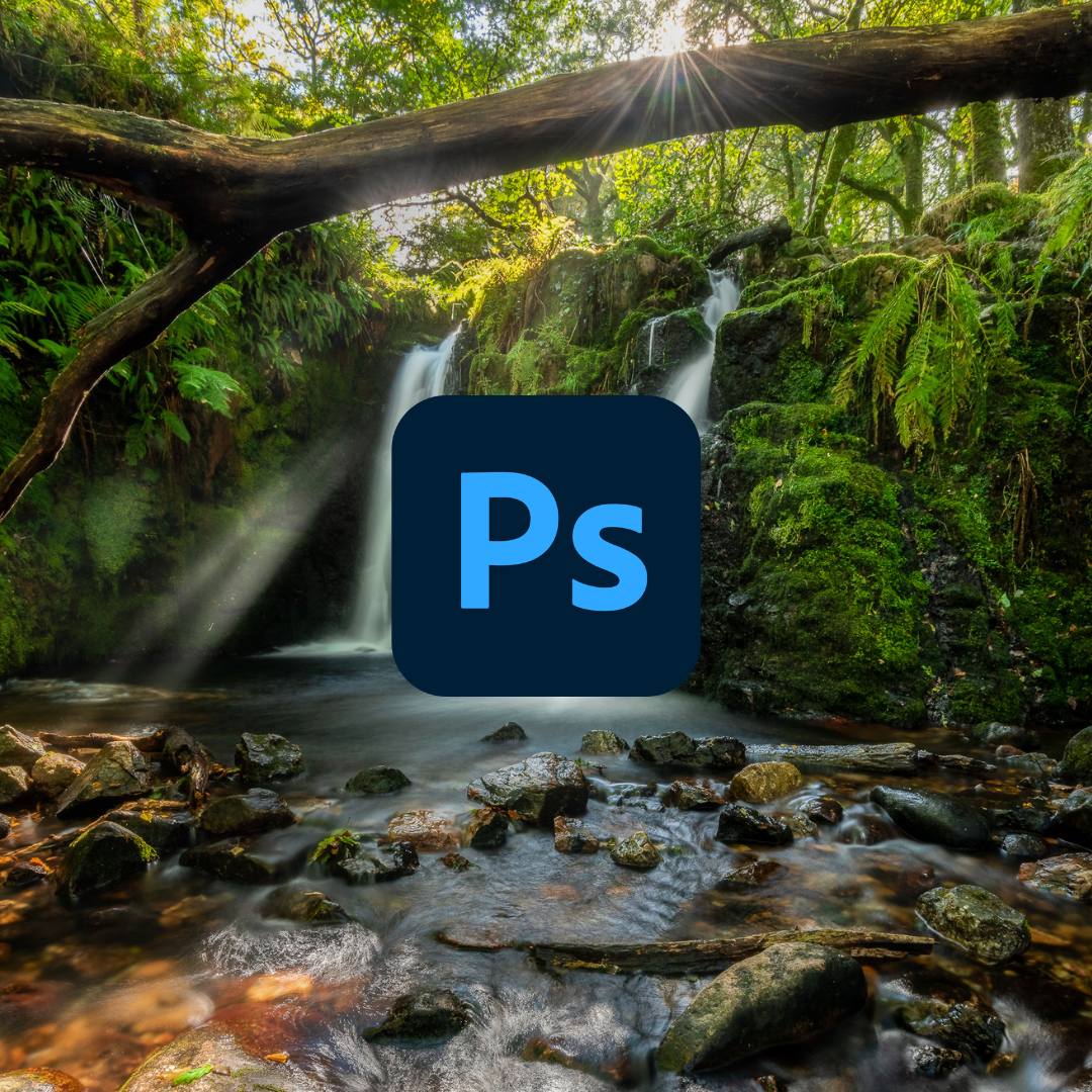 Untitled design (6).png