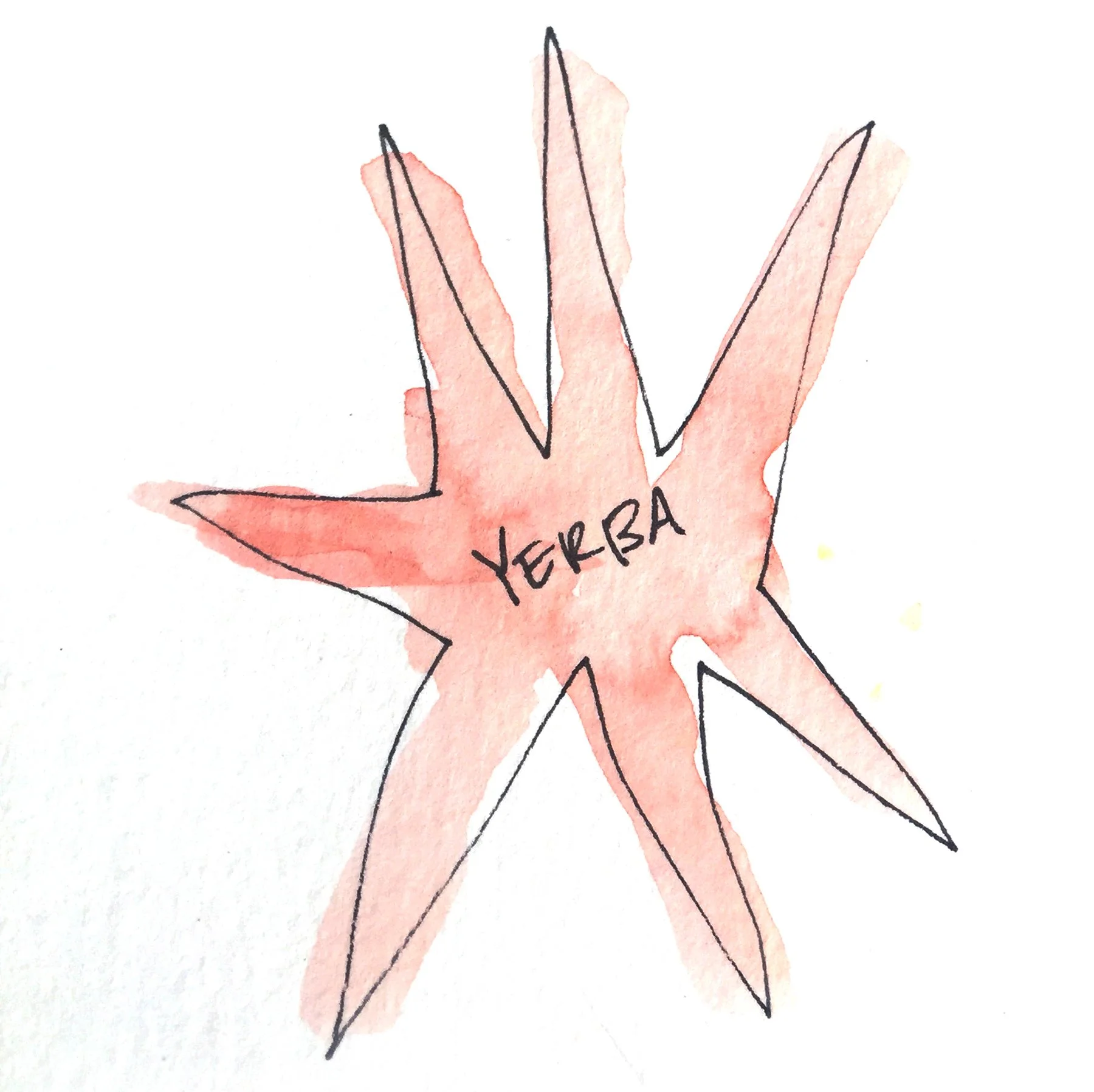 parana branding sq.jpg