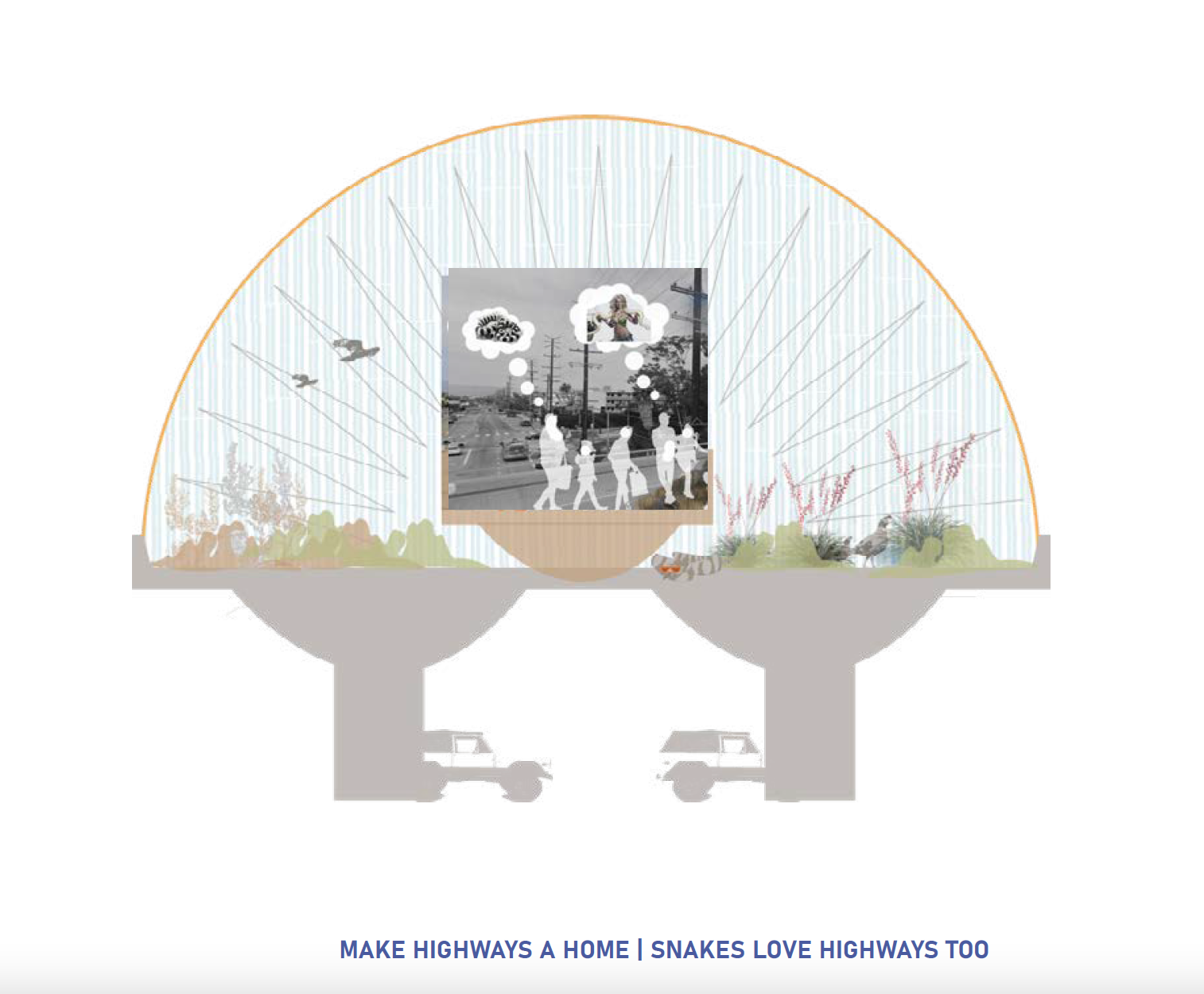 Conquering a Fear of Desire