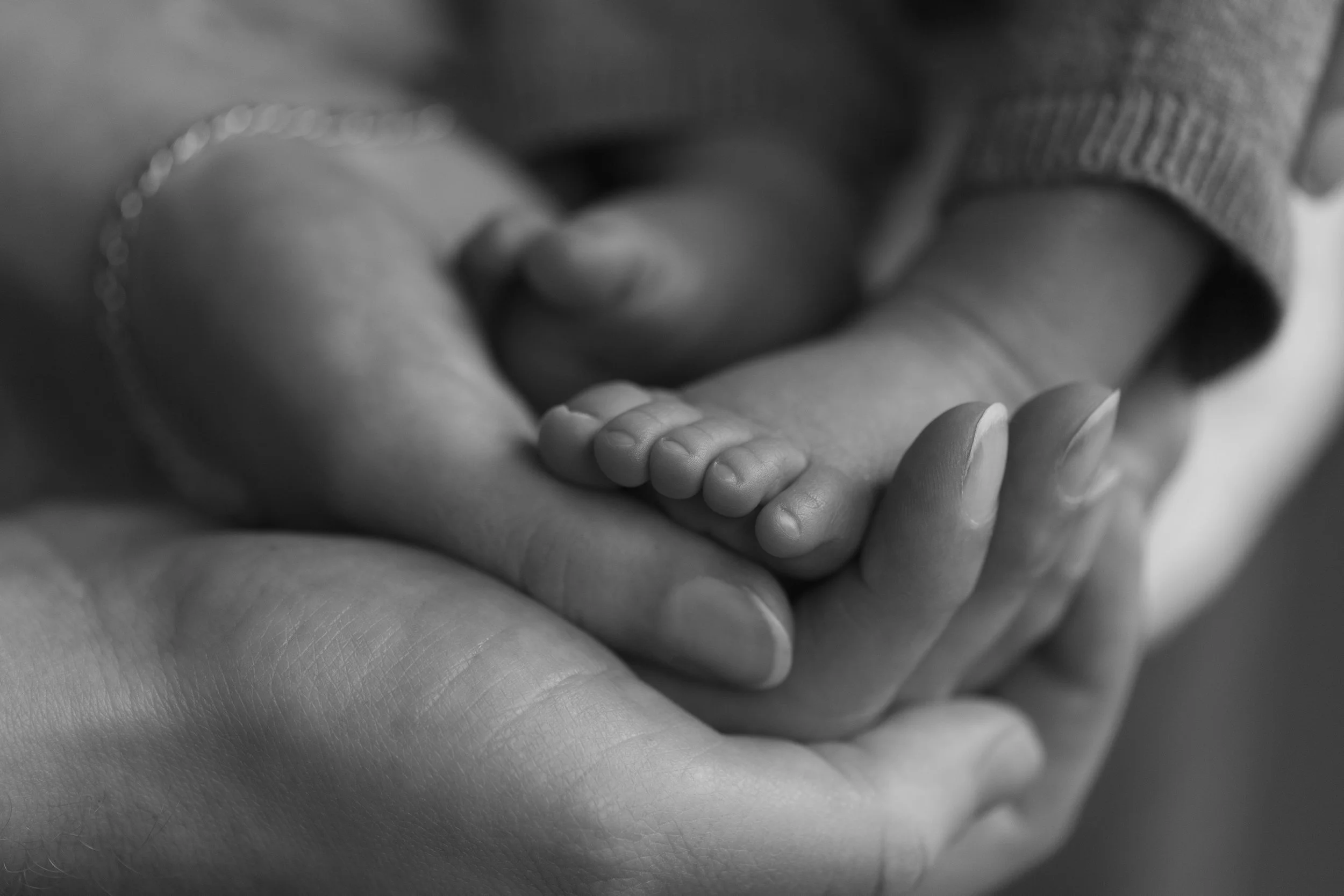 A close-up of an adult's hand gently holding a baby's tiny hand.