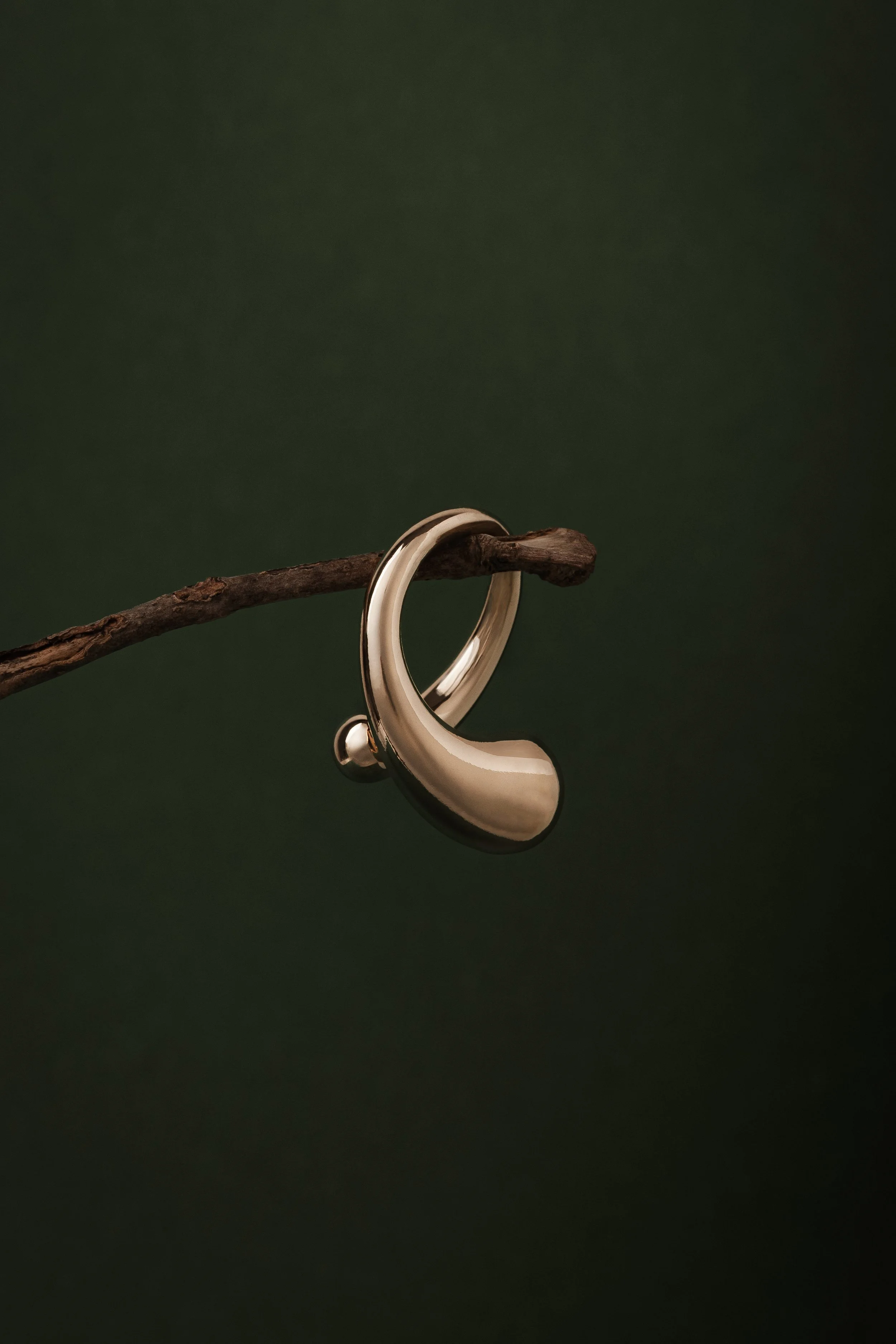 A silver ring hanging on a small, dark brown tree branch against a dark green background.