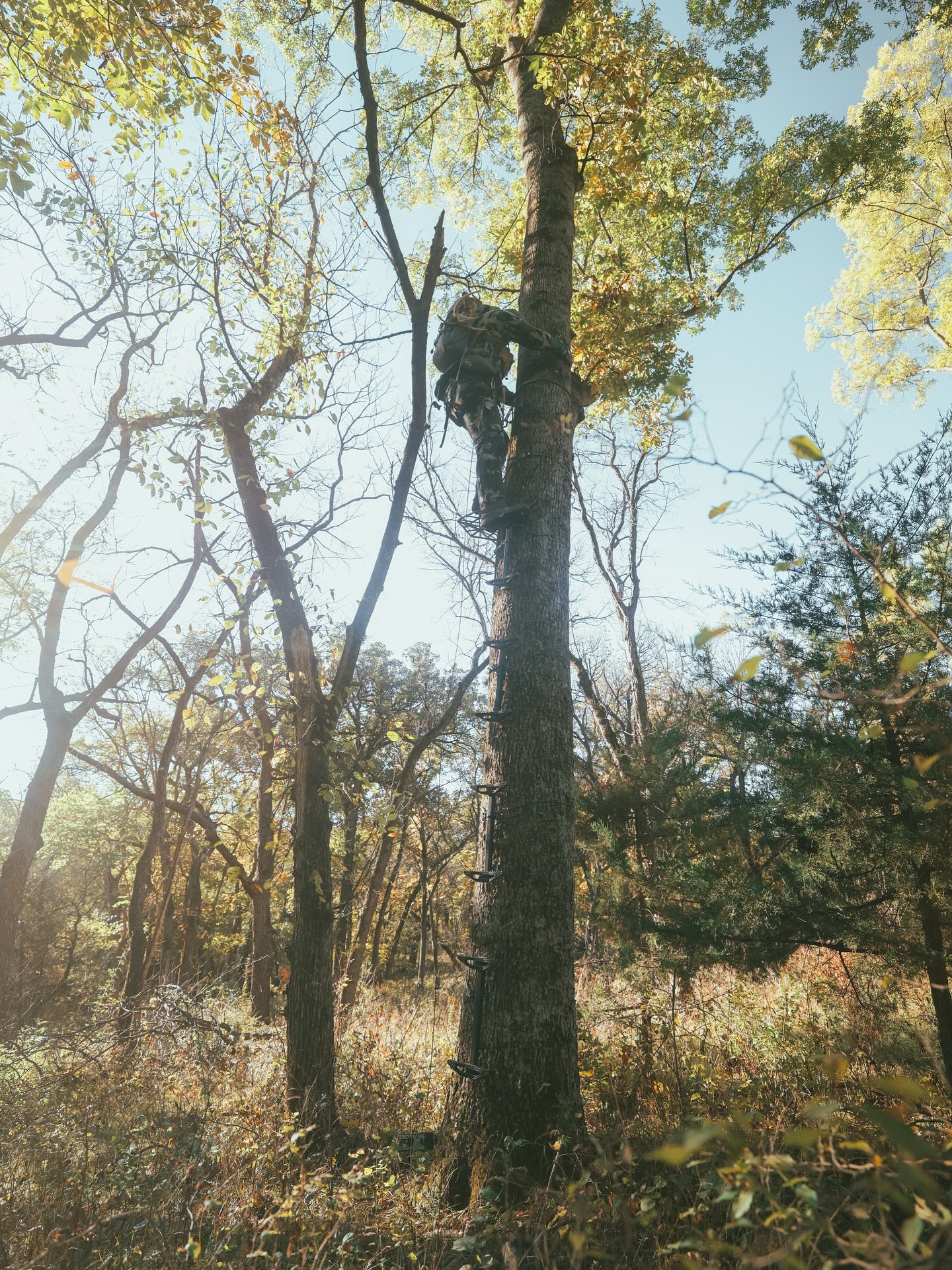 Buckle up, this next month is what we live for. 
📸 / @nhunterk 
#idbros #identicaldraw #whitetail #timberninja #vortexoptics #kuiu #beararchery #trophyridge #onxhunt #revealcellcam