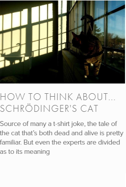 schrodinger's cat.png