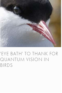 Eye bath.png