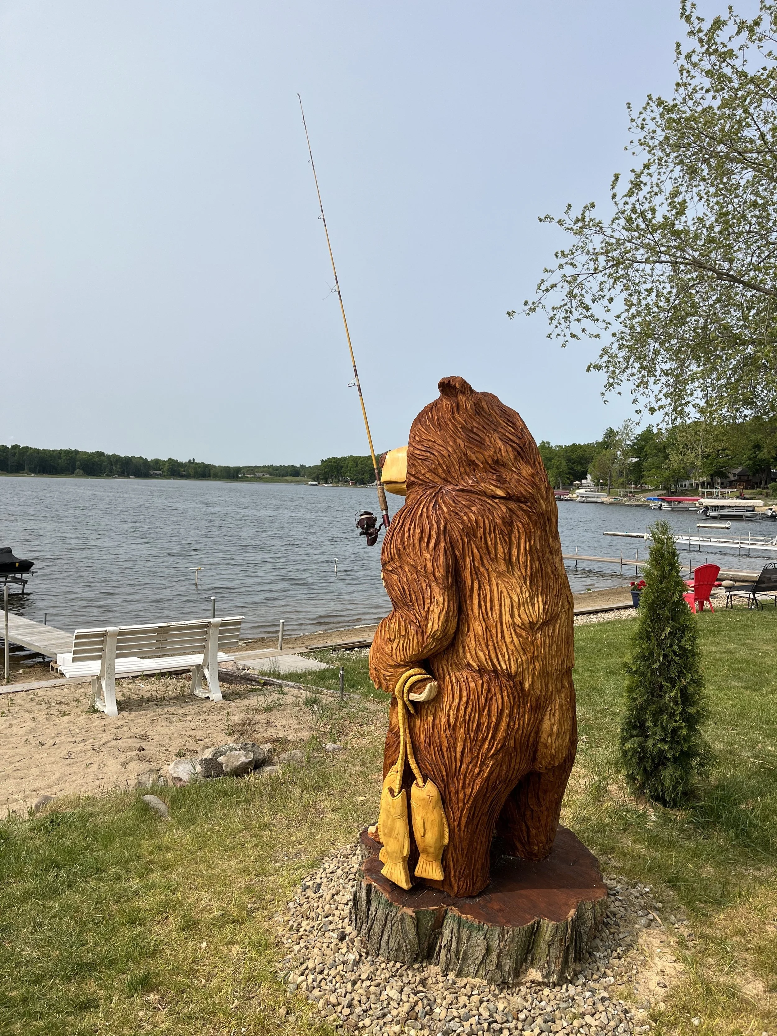 bear facing water.jpg