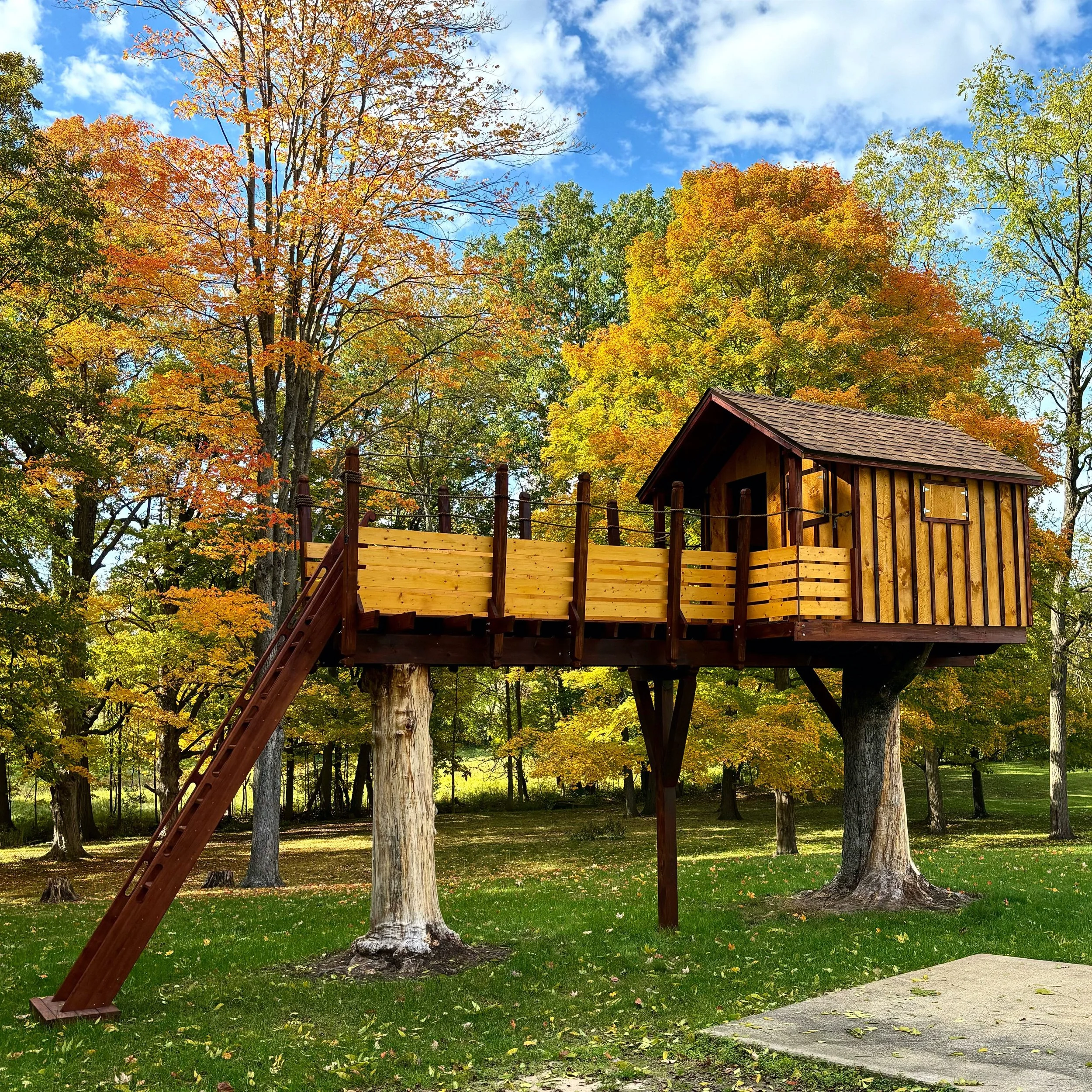 treehouse 5 mb size.jpg