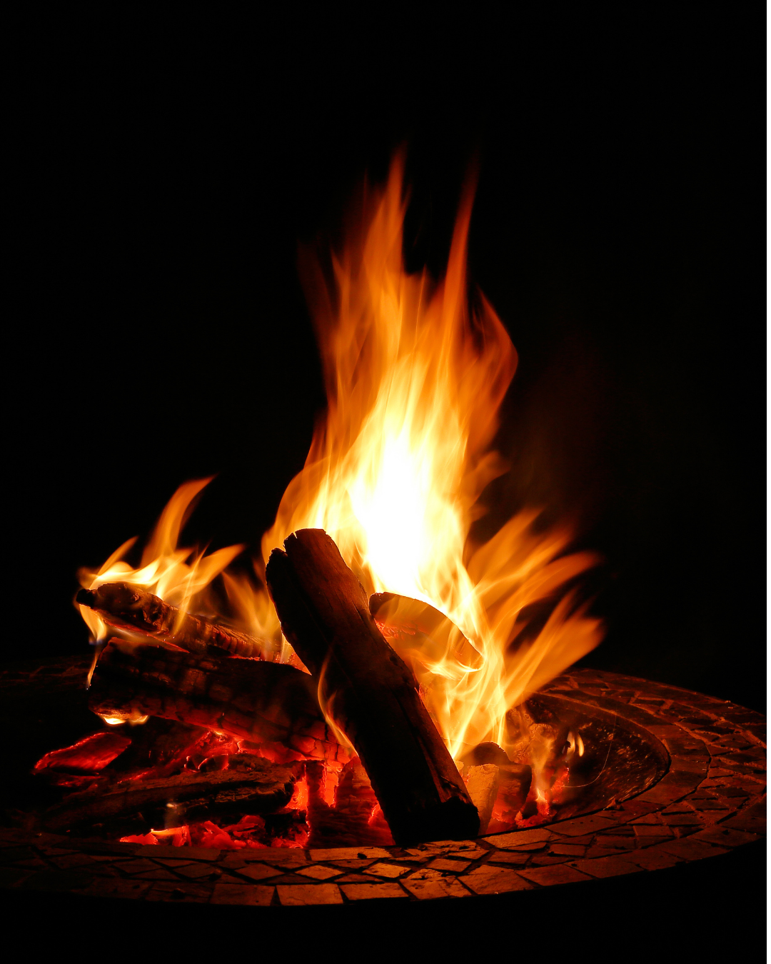 Midnight in a Perfect World-5.png