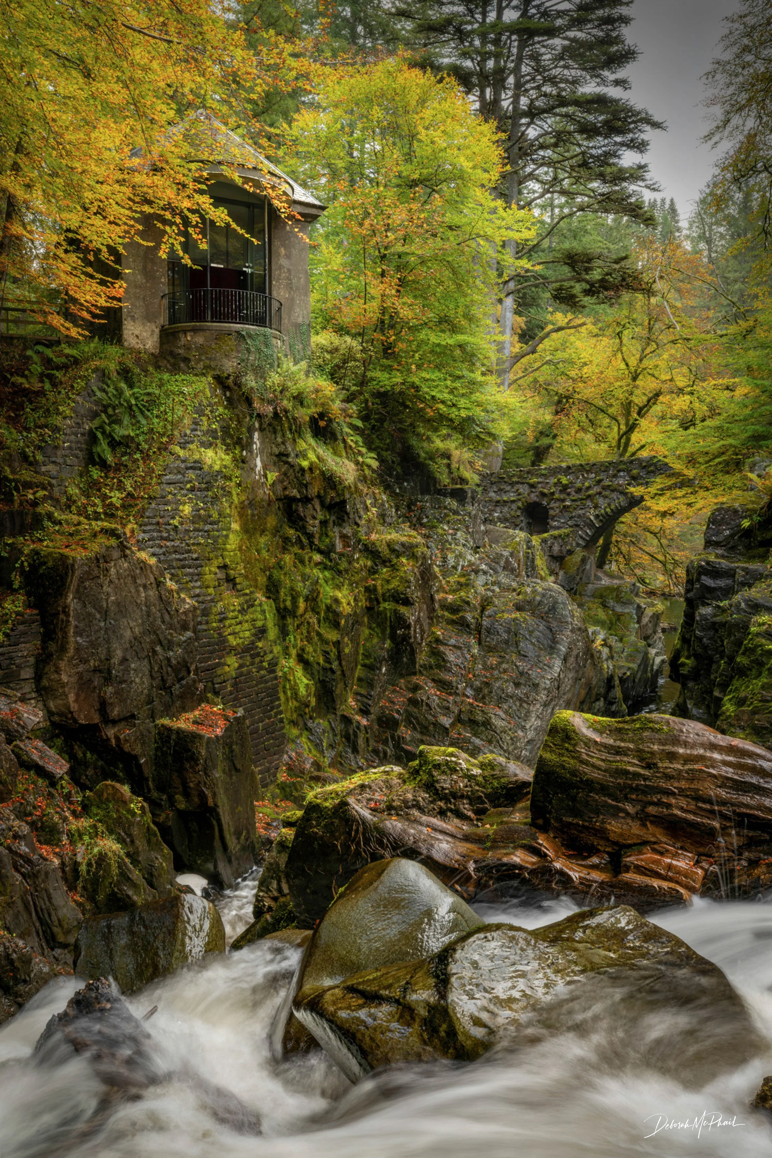 Autumn's Sanctuary