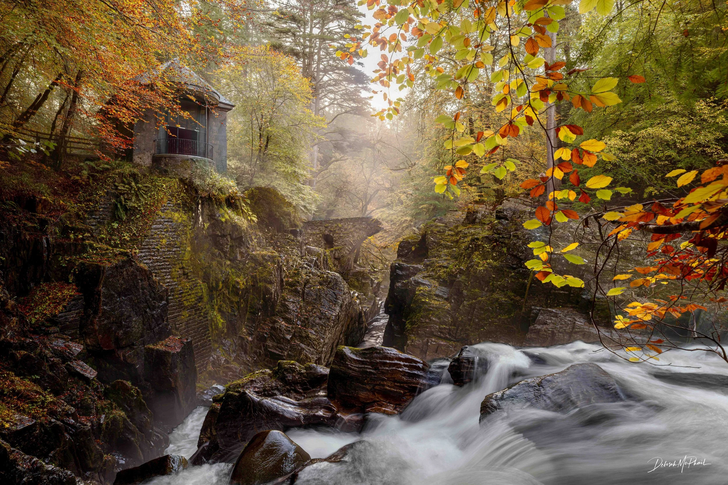 Autumn Sanctuary