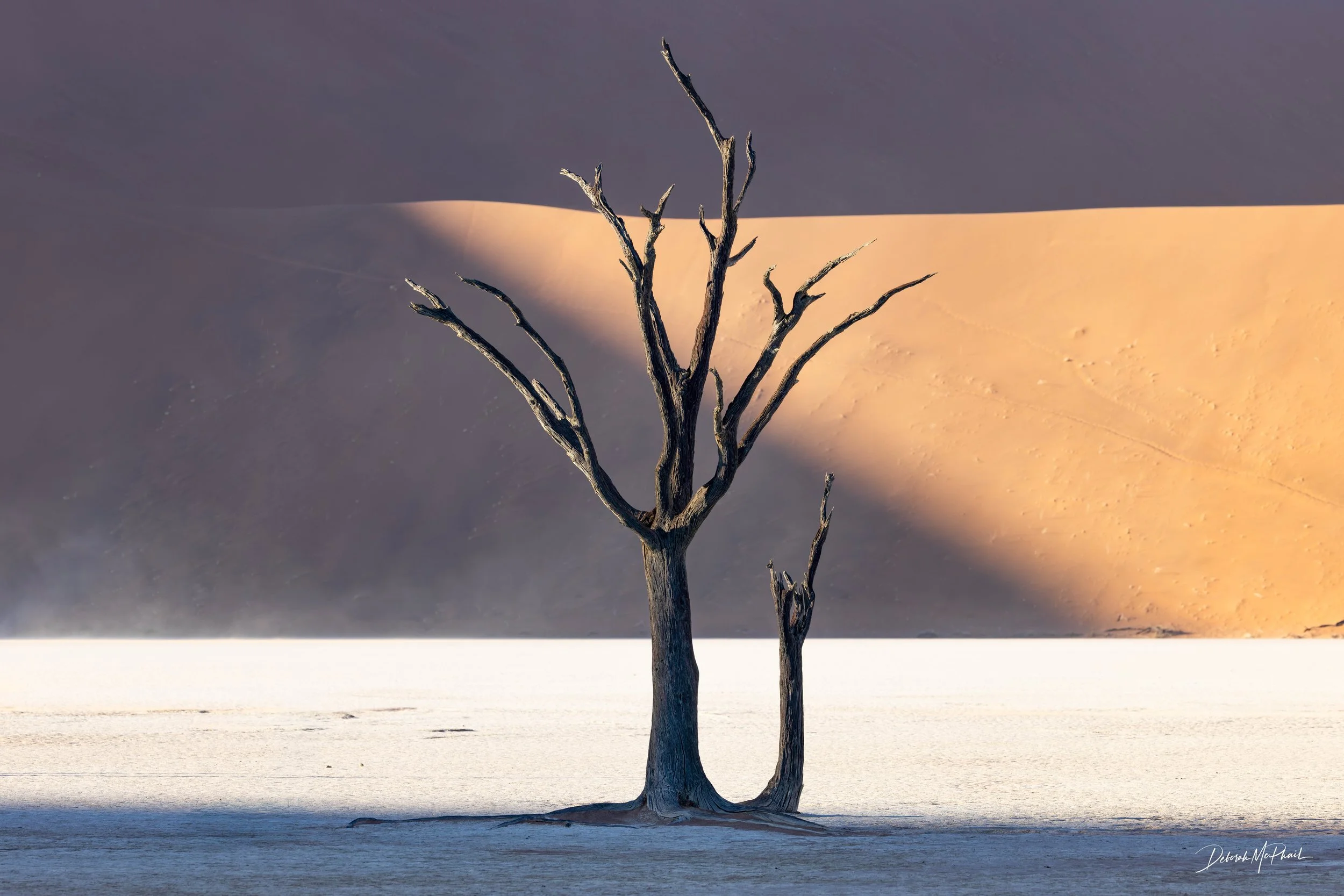 Last Stand, Deadvlei