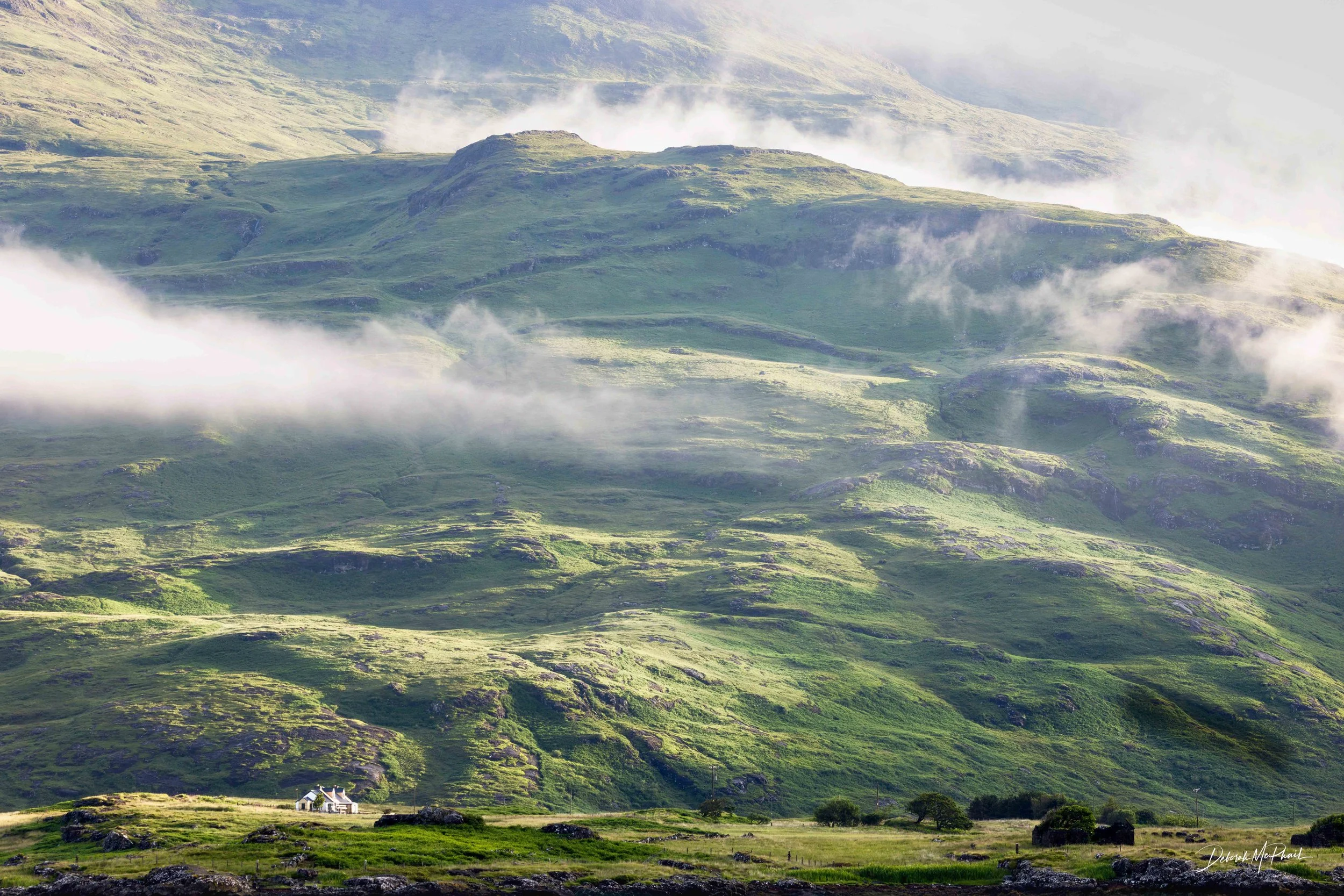 Morning Unfolds, Mull