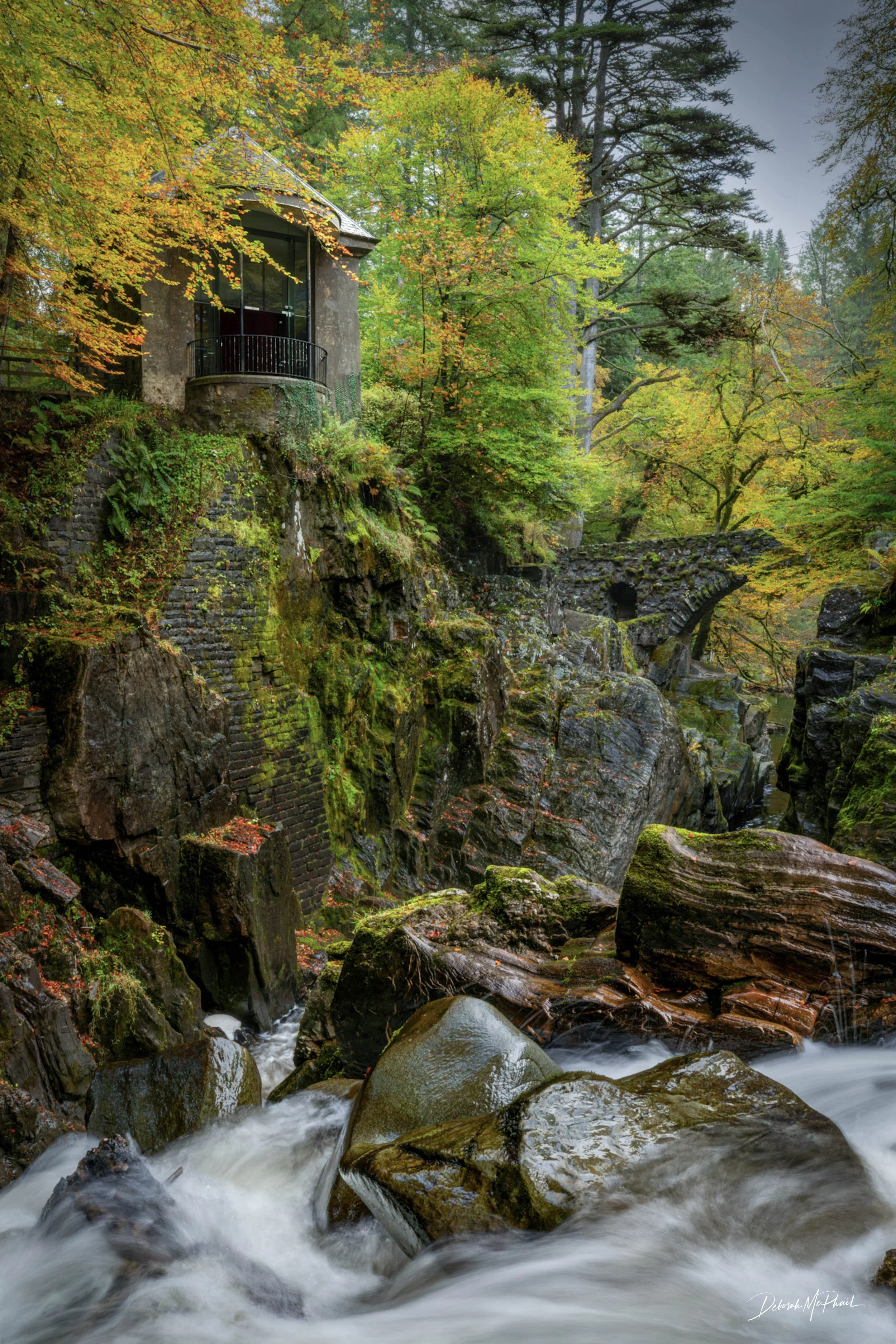 Autumn's Sanctuary