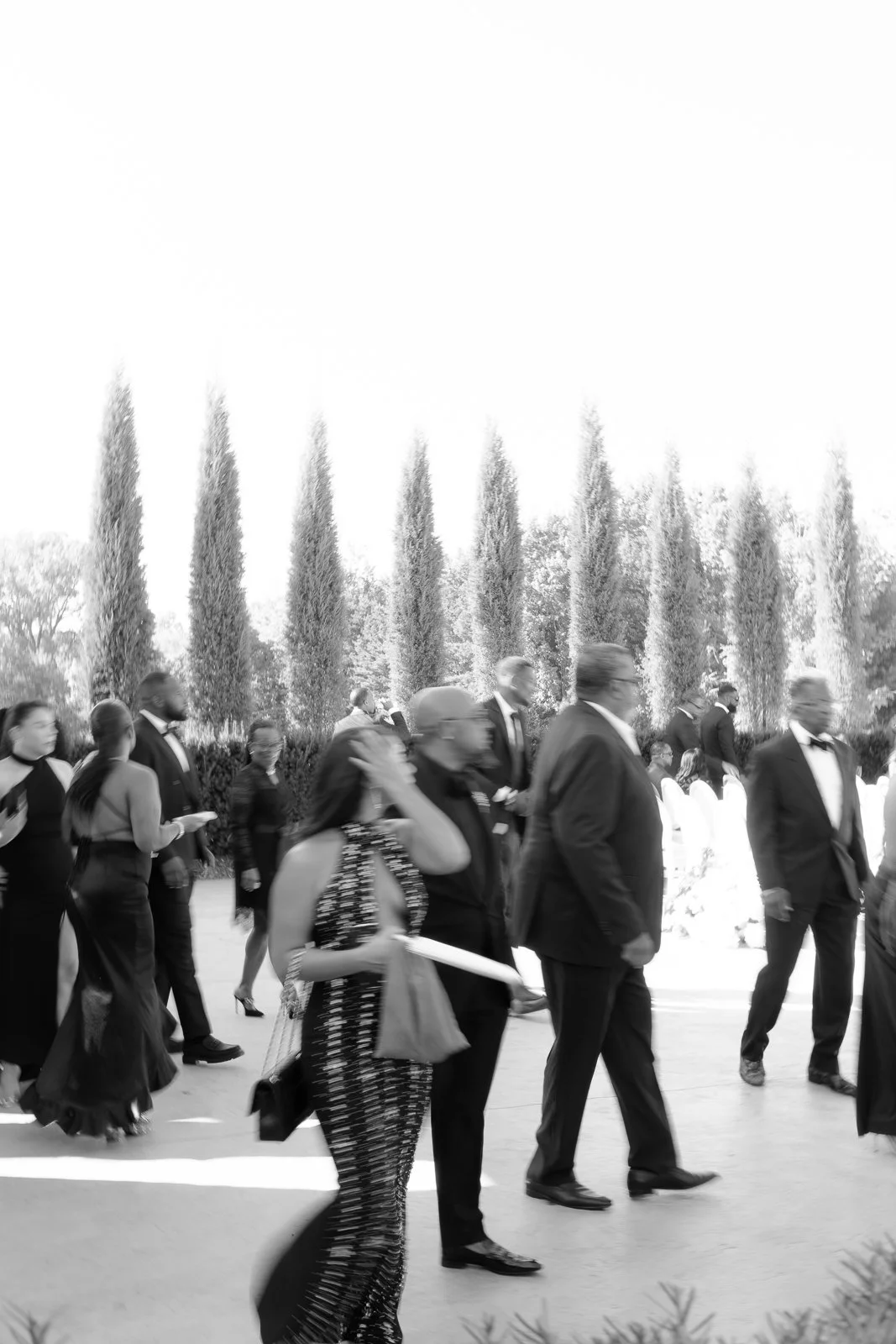 conservatory-blackberry-ridge-wedding-photos-130.jpg