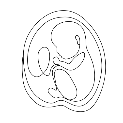 Leib & Leiblichkeit (Embodiment) – Körper haben, Leib sein